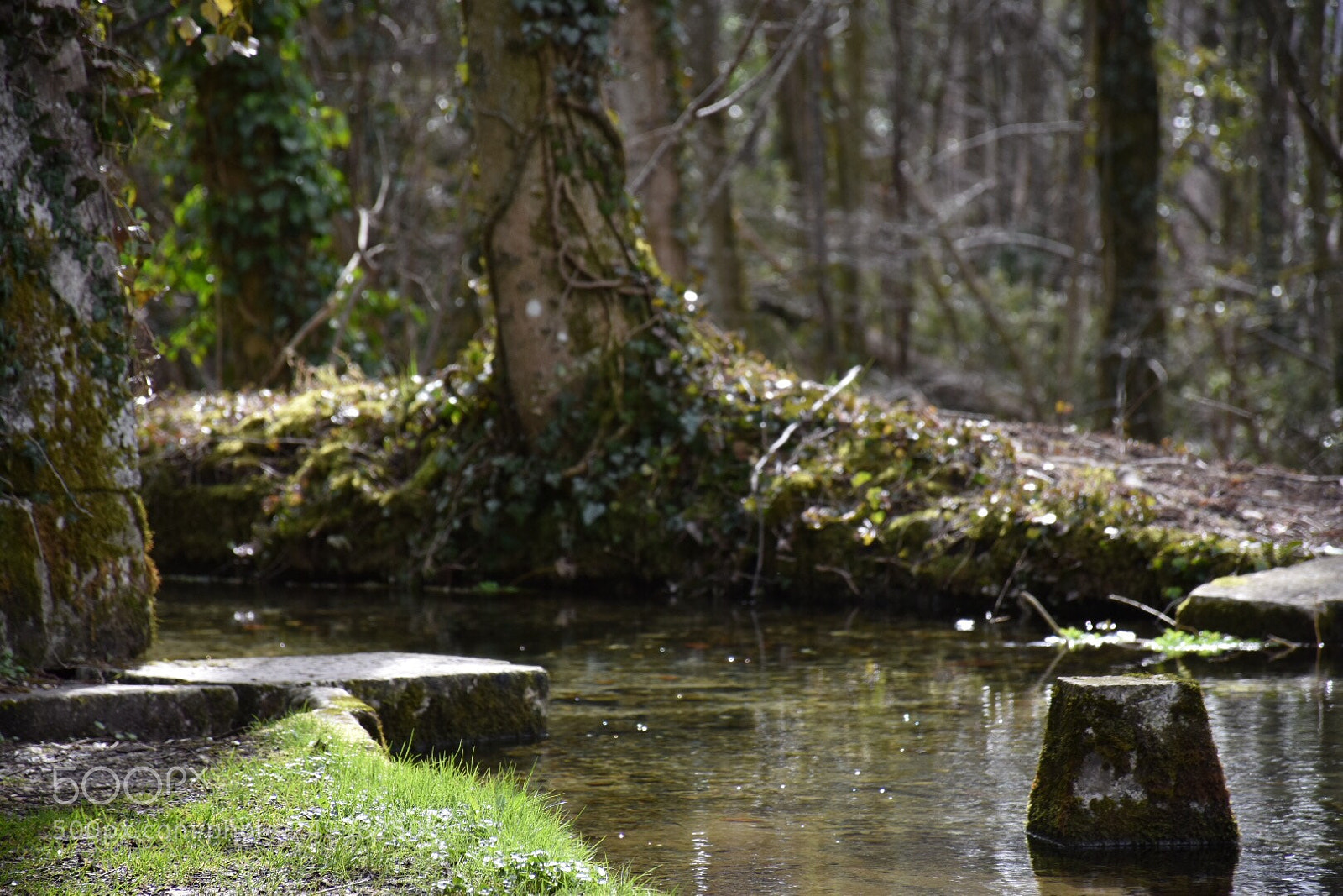Nikon D5500 sample photo. Calm photography