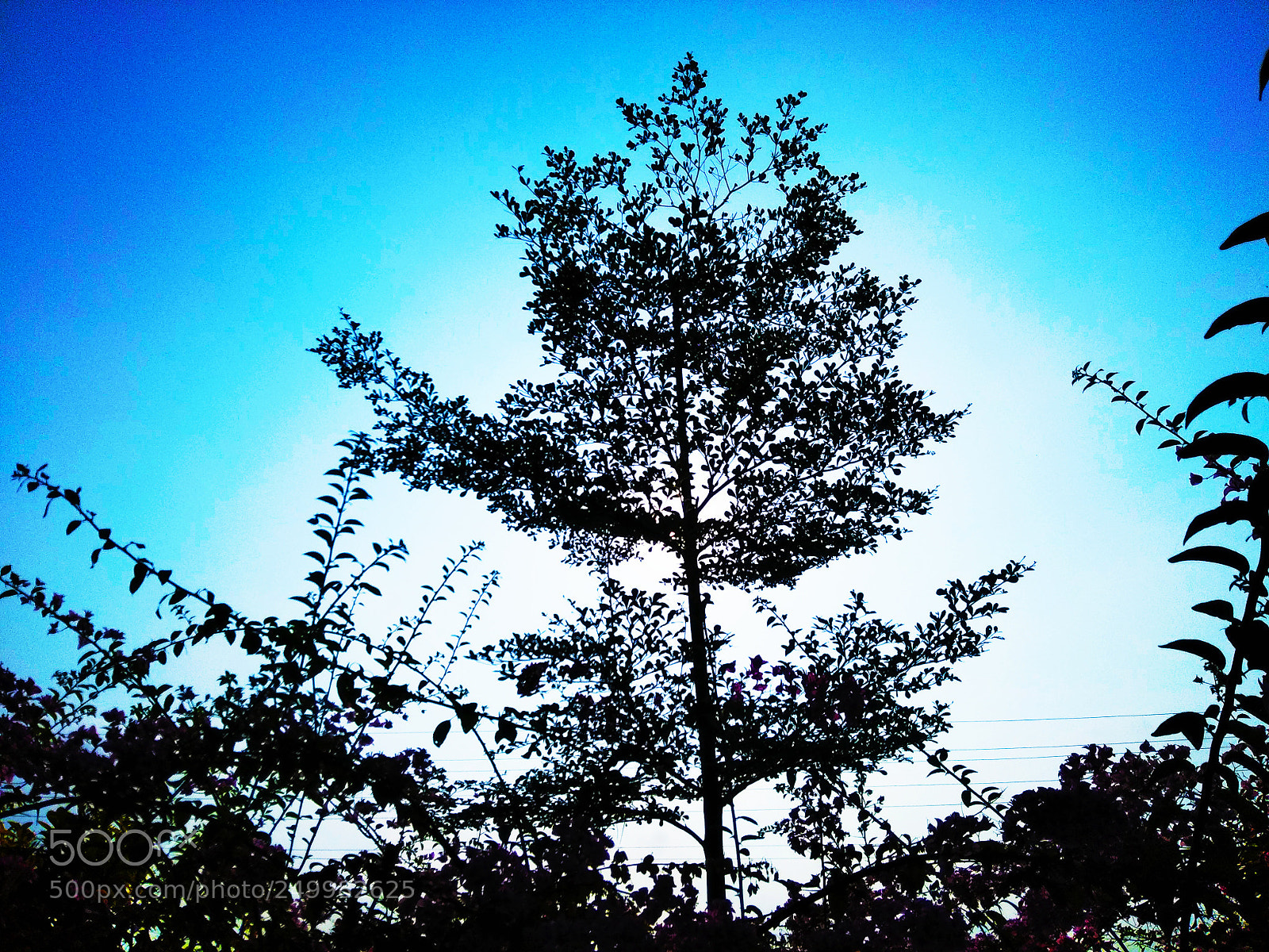 Xiaomi Redmi Note 4 sample photo. Untitled photography