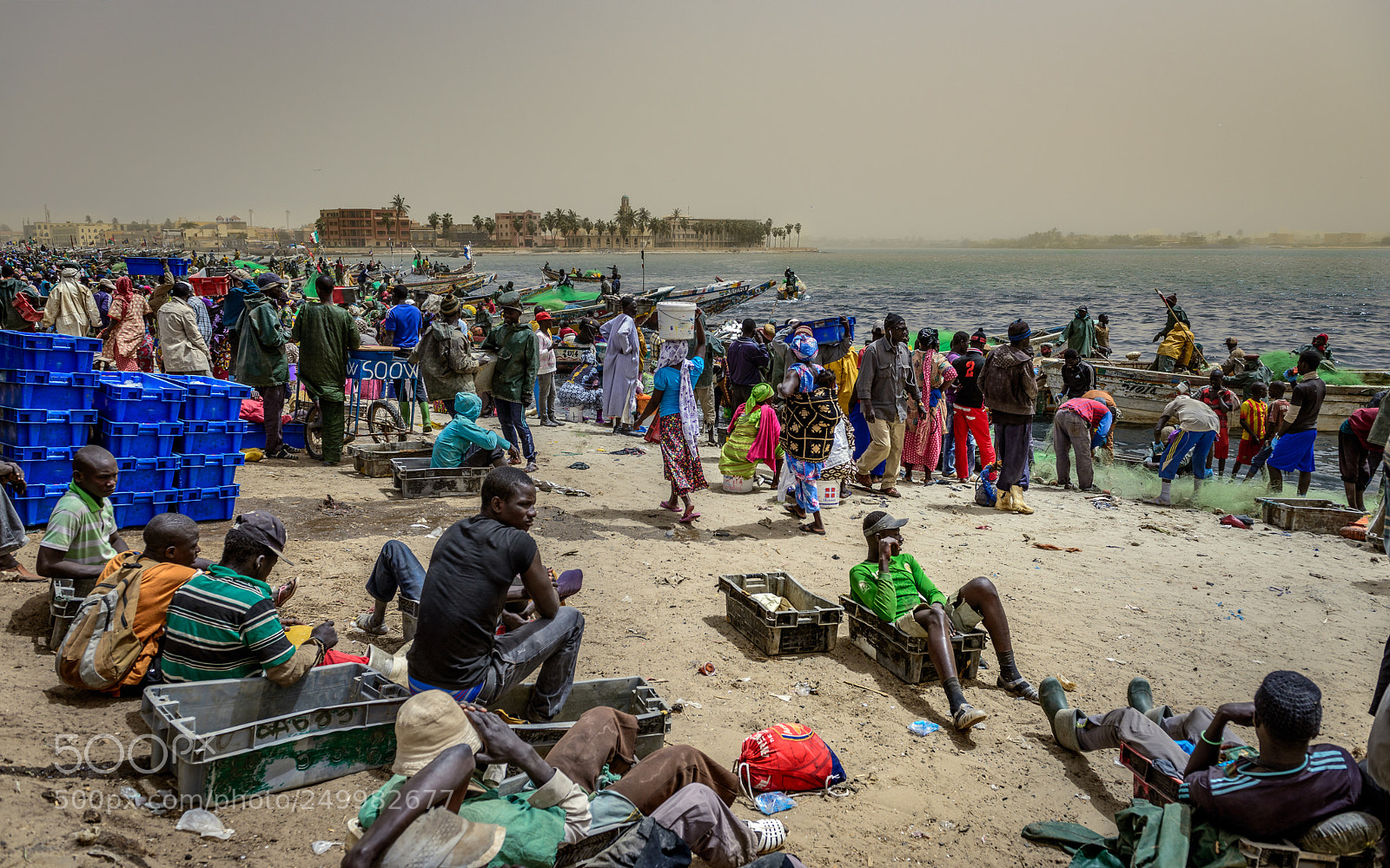 Nikon D800 sample photo. Saint louis fish harbour photography