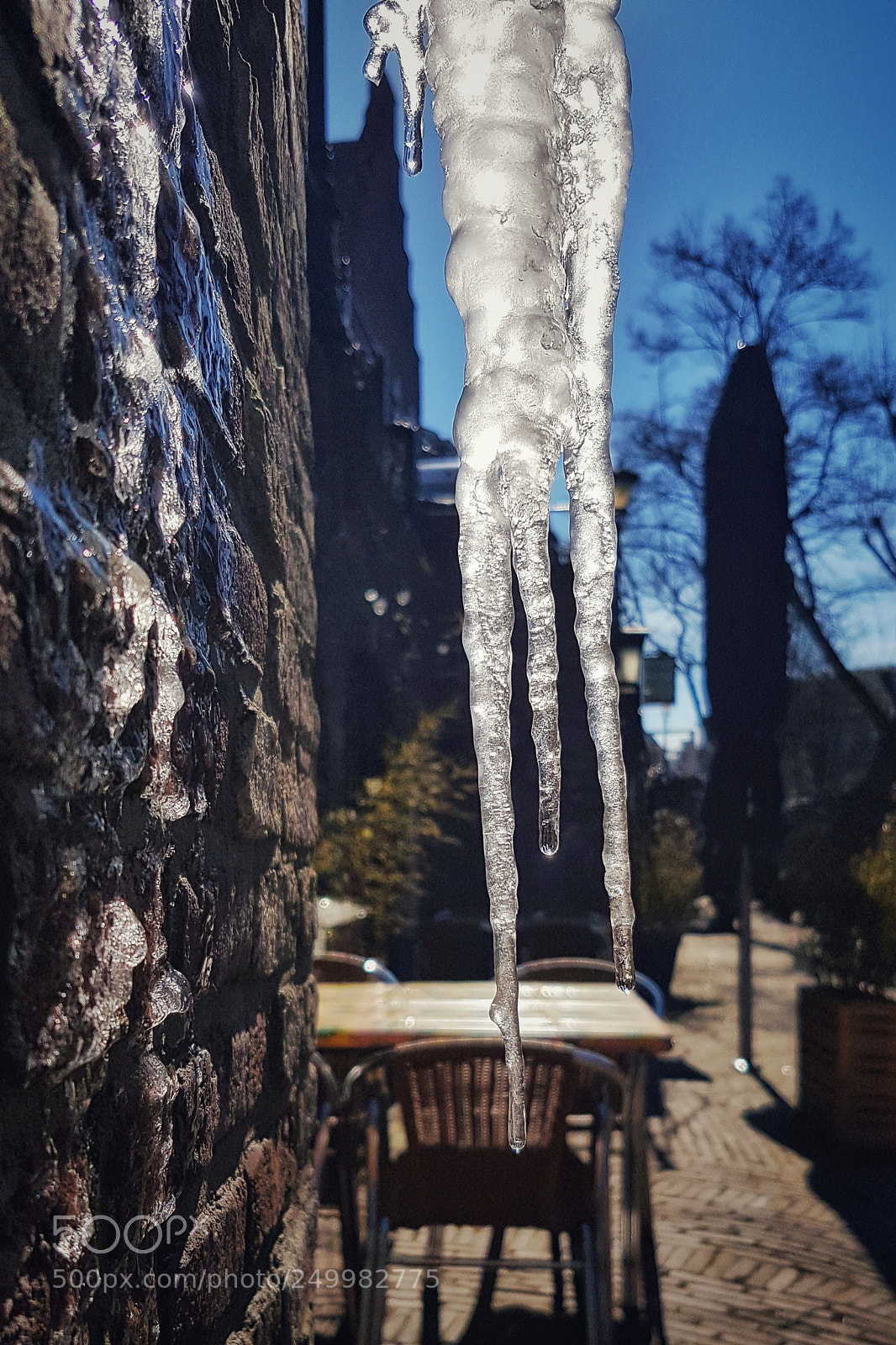 Samsung Galaxy S7 sample photo. A bit chilly for photography