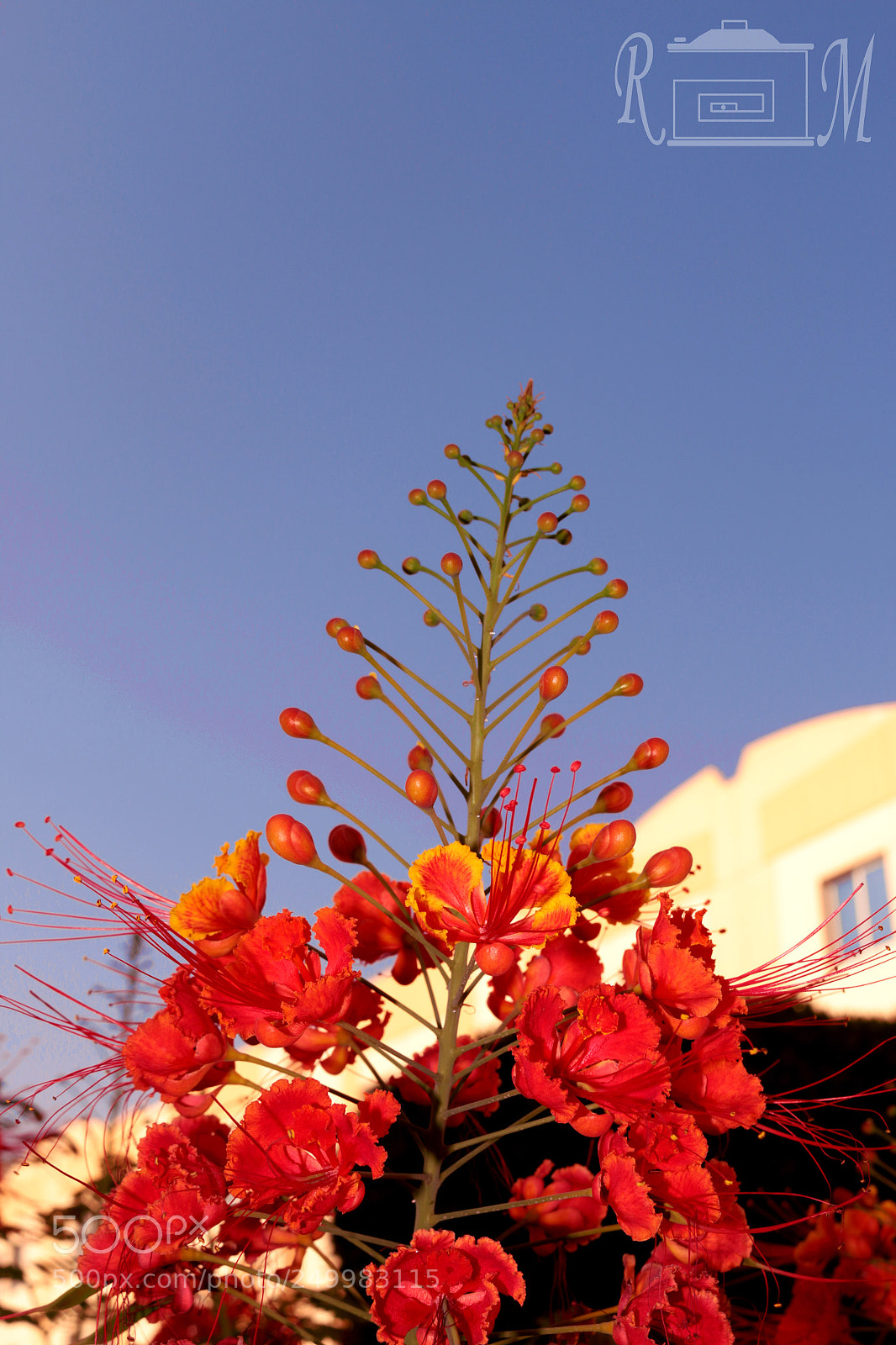 Canon EOS 70D sample photo. My way of getting photography