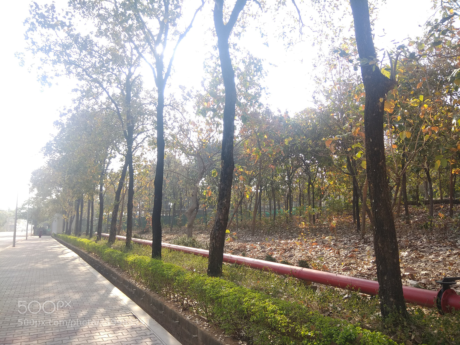 Xiaomi Redmi Note 4 sample photo. Untitled photography