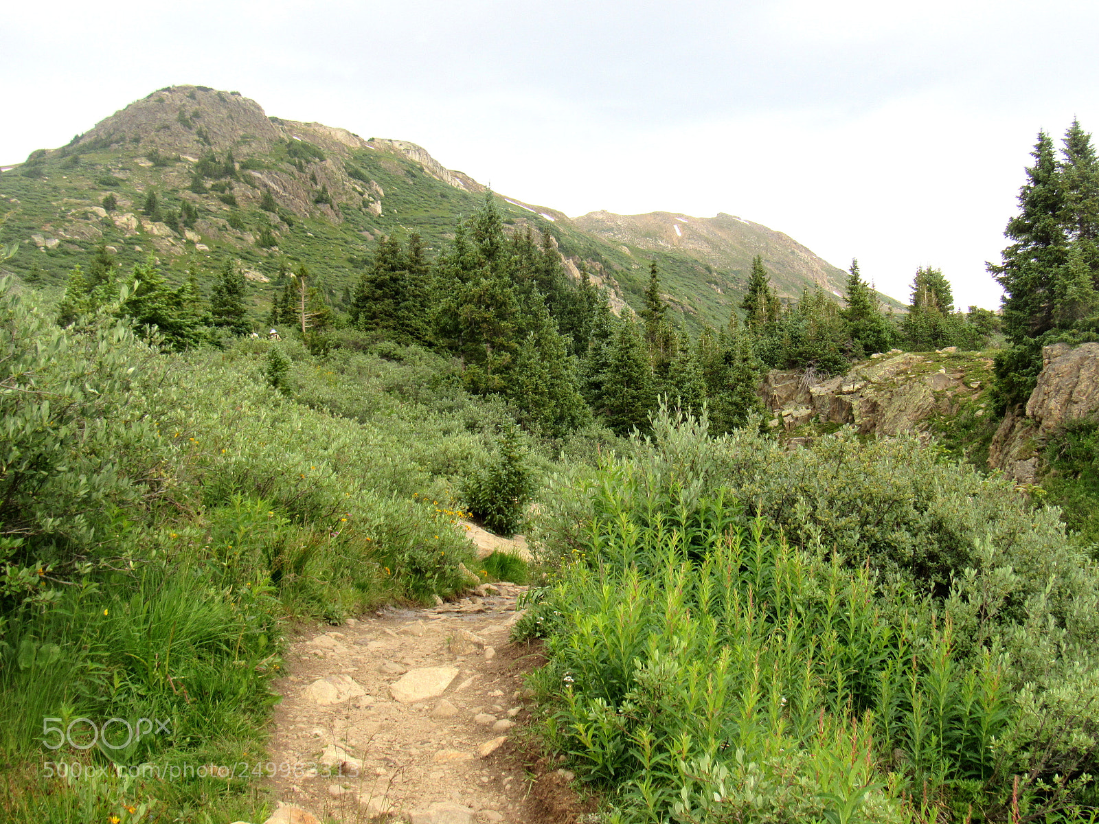 Canon PowerShot SX520 HS sample photo. Going up the hill photography