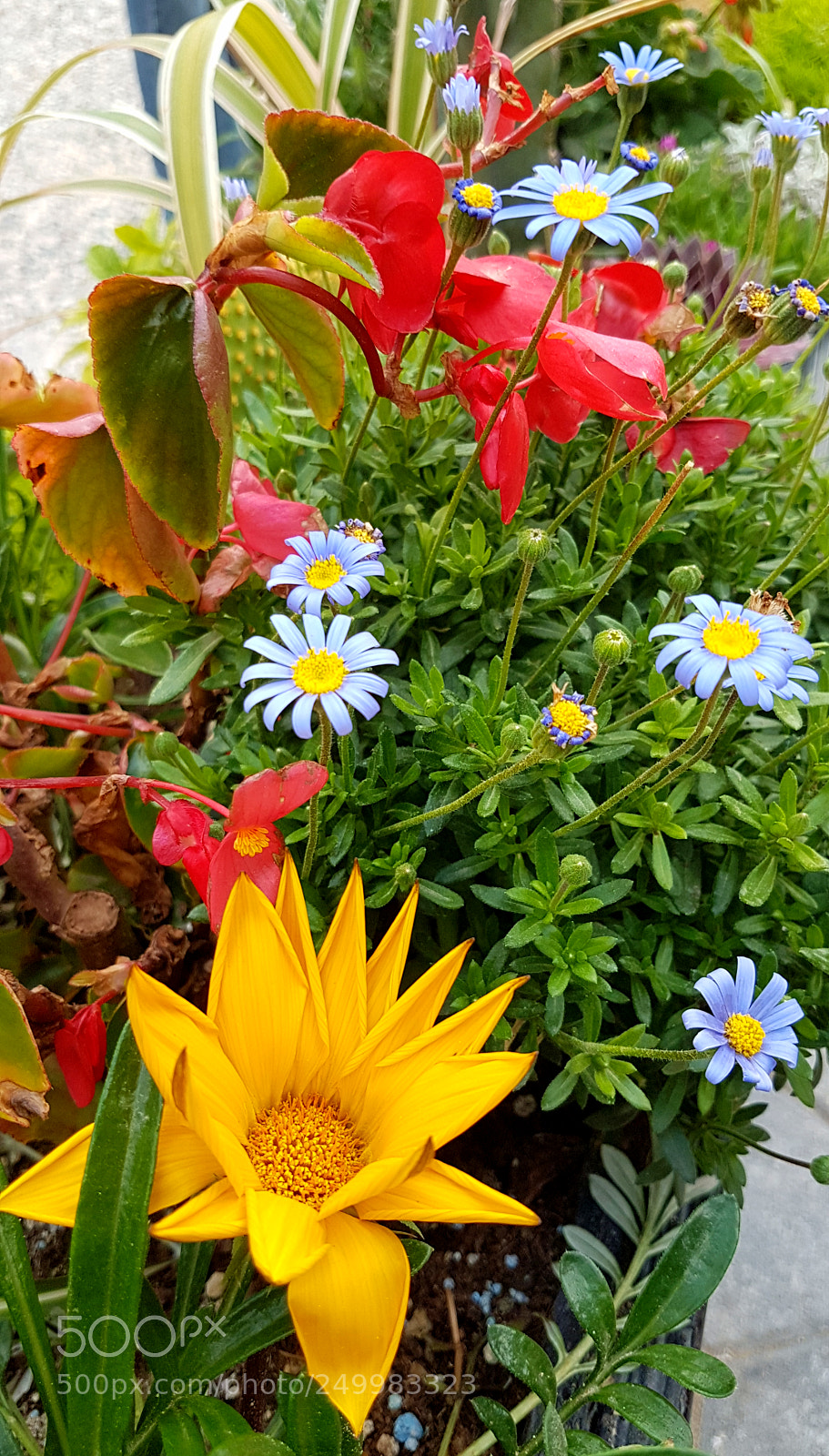 Samsung Galaxy S7 Edge sample photo. Untitled photography