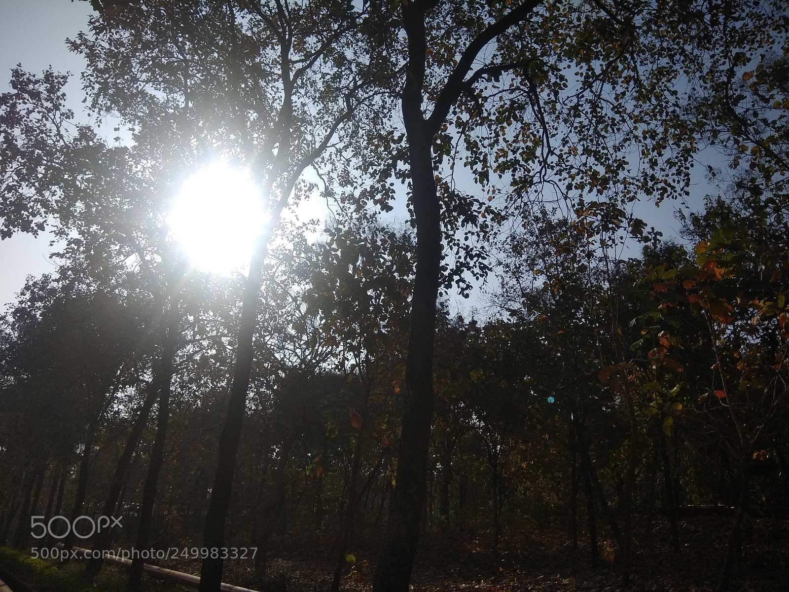 Xiaomi Redmi Note 4 sample photo. Untitled photography
