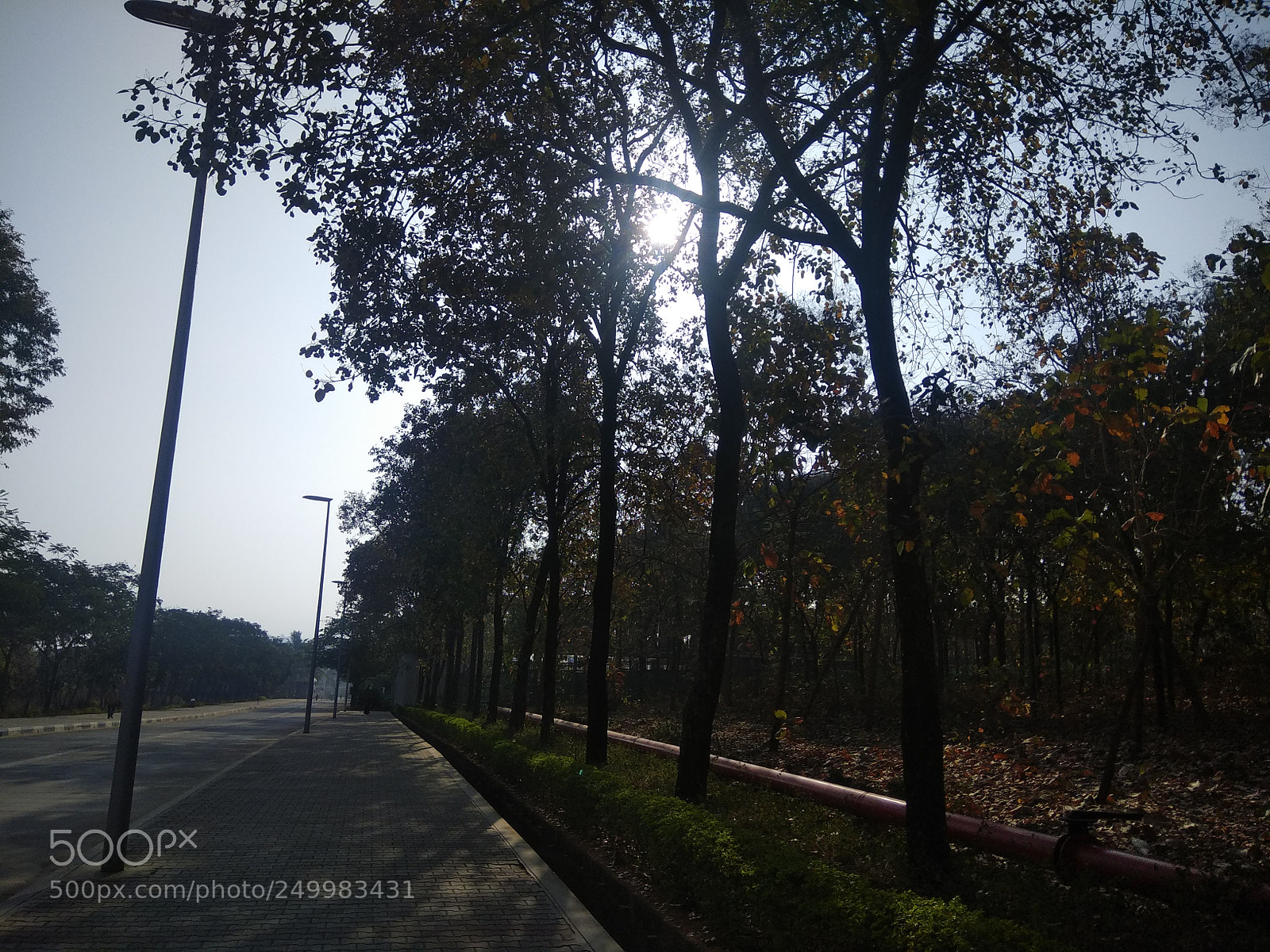 Xiaomi Redmi Note 4 sample photo. Untitled photography
