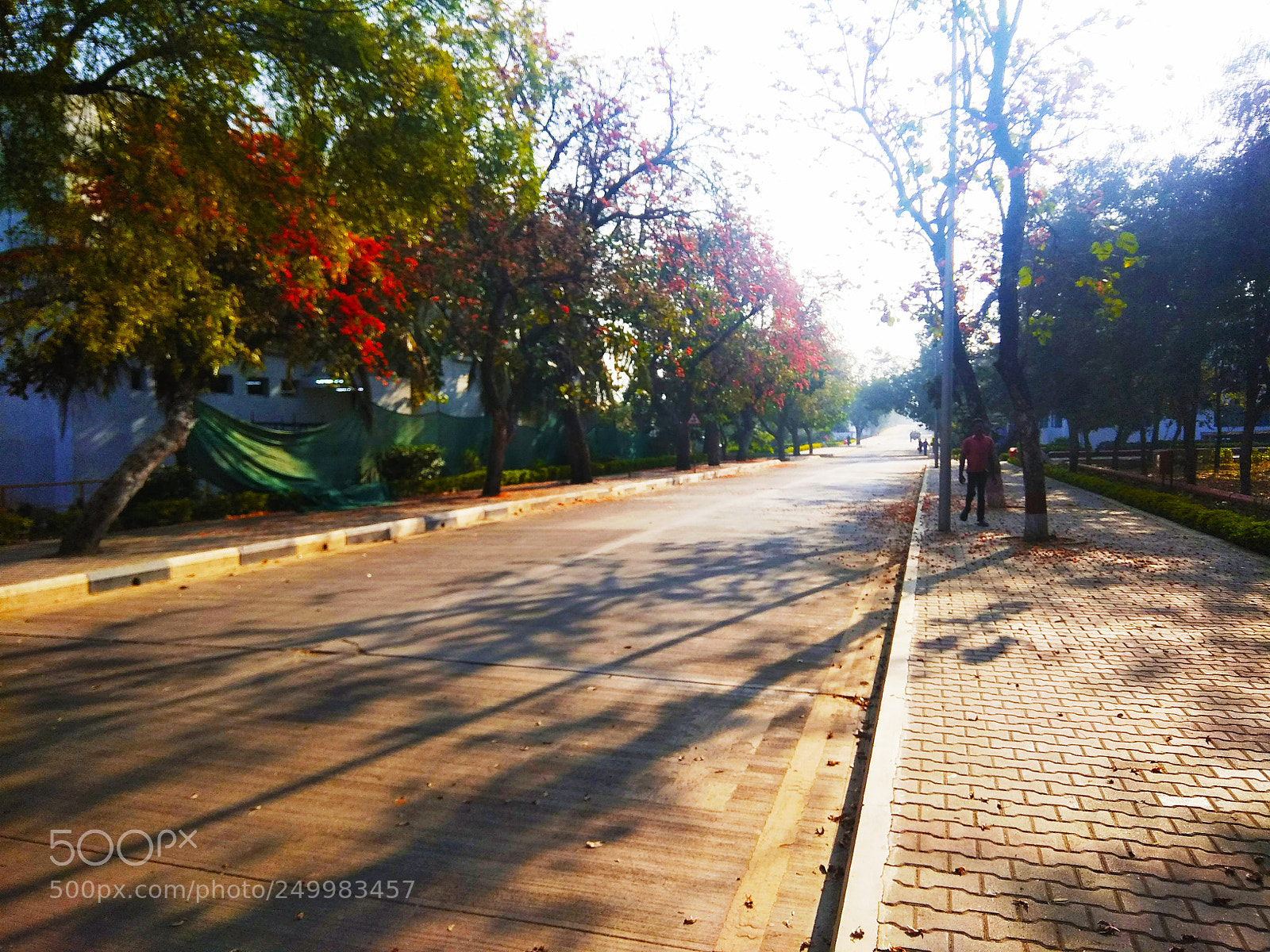 Xiaomi Redmi Note 4 sample photo. Untitled photography