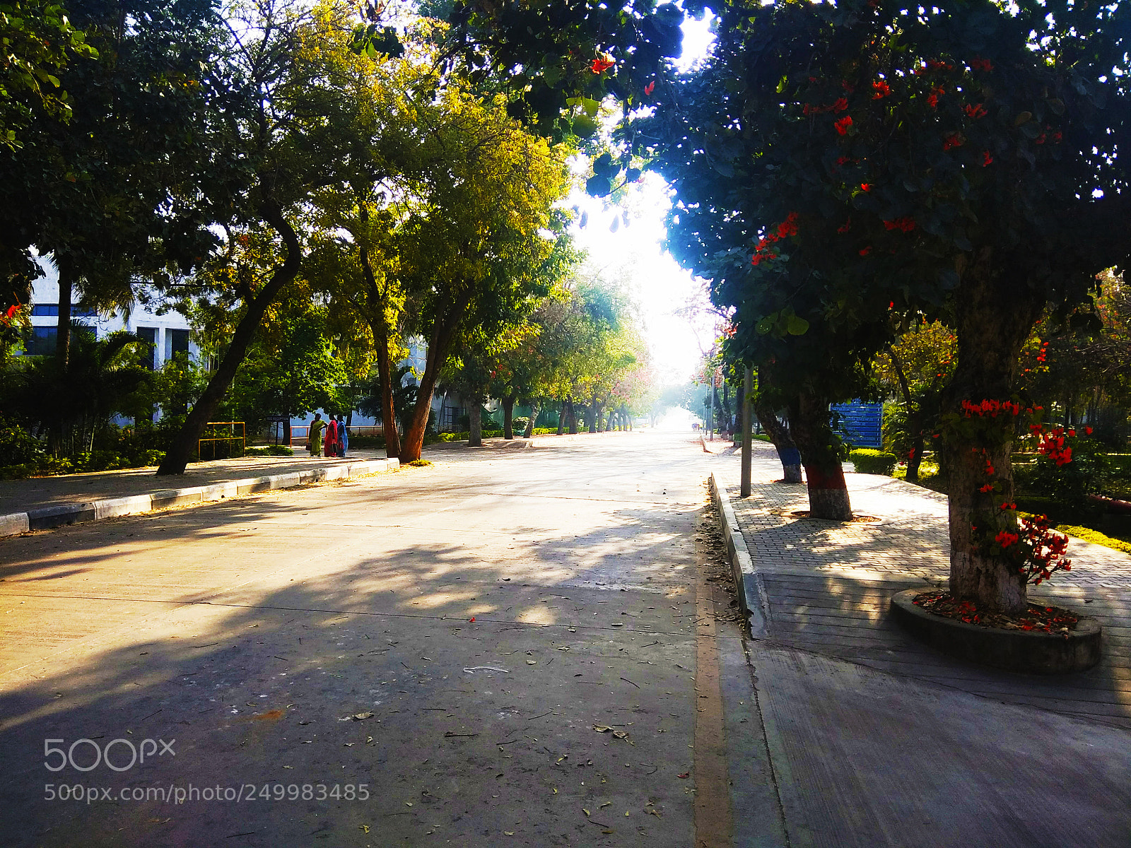 Xiaomi Redmi Note 4 sample photo. Untitled photography