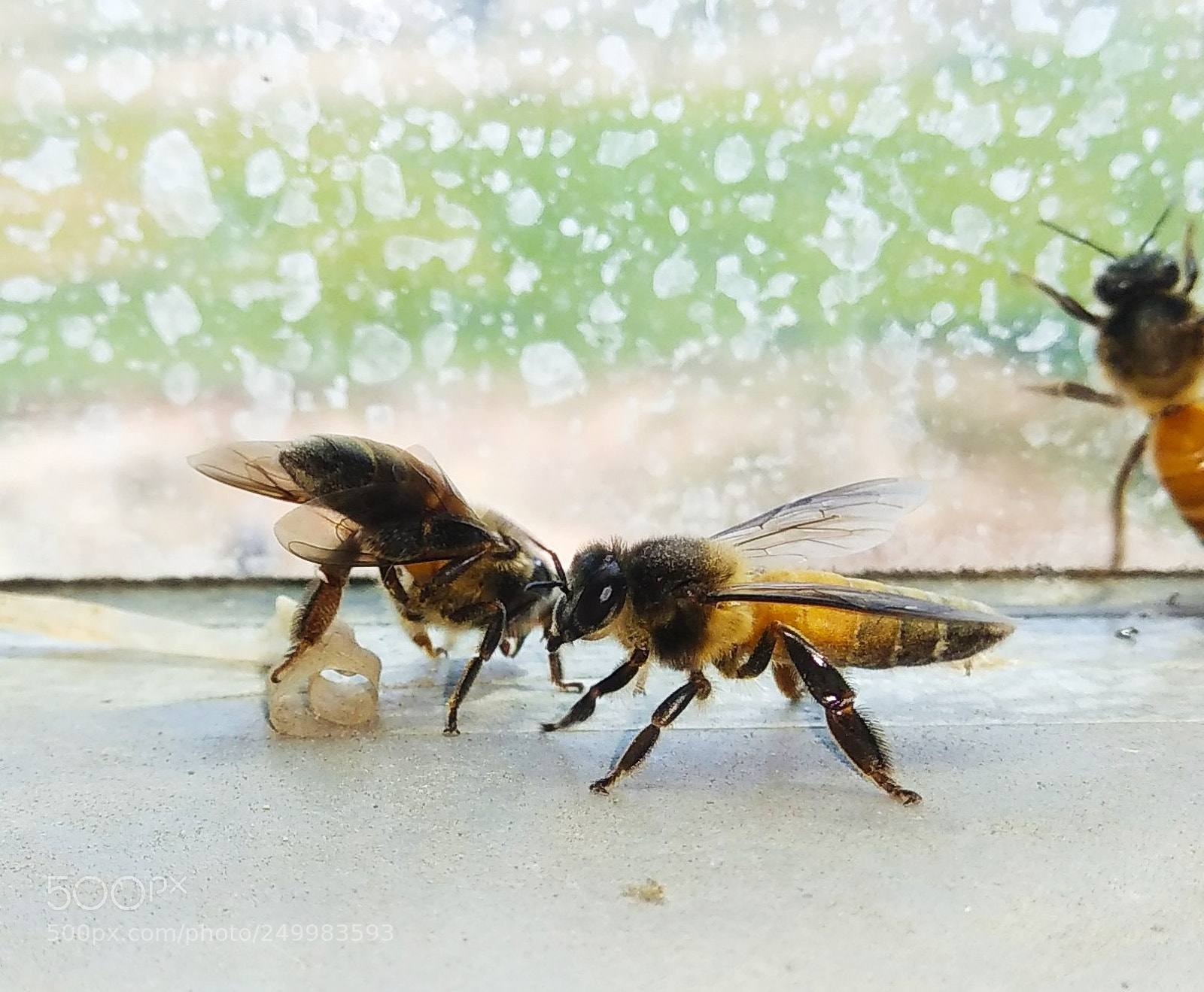 Xiaomi Redmi Note 4 sample photo. Untitled photography