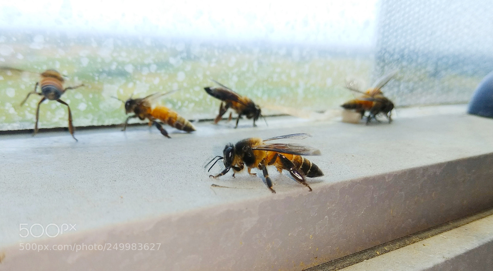 Xiaomi Redmi Note 4 sample photo. Untitled photography