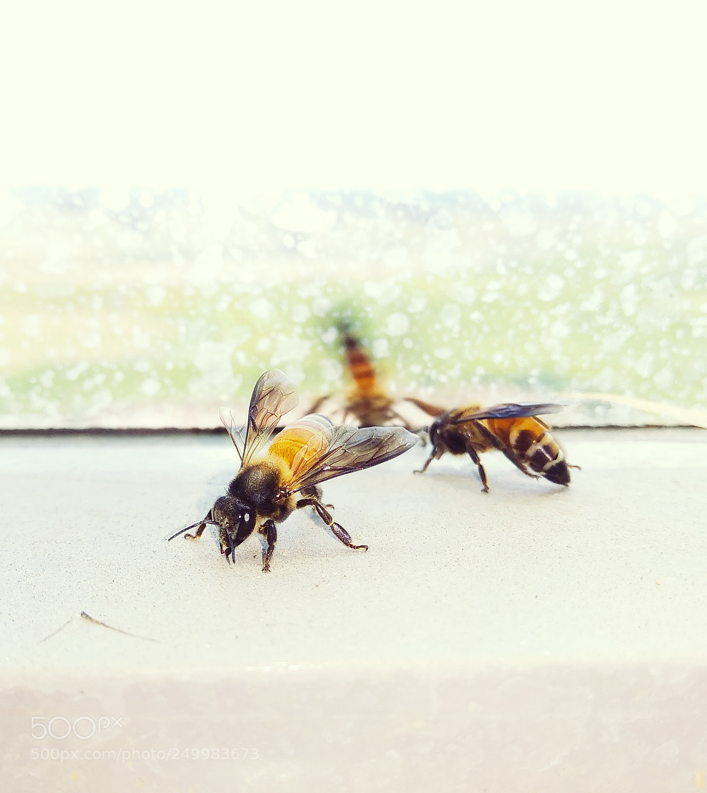 Xiaomi Redmi Note 4 sample photo. Untitled photography