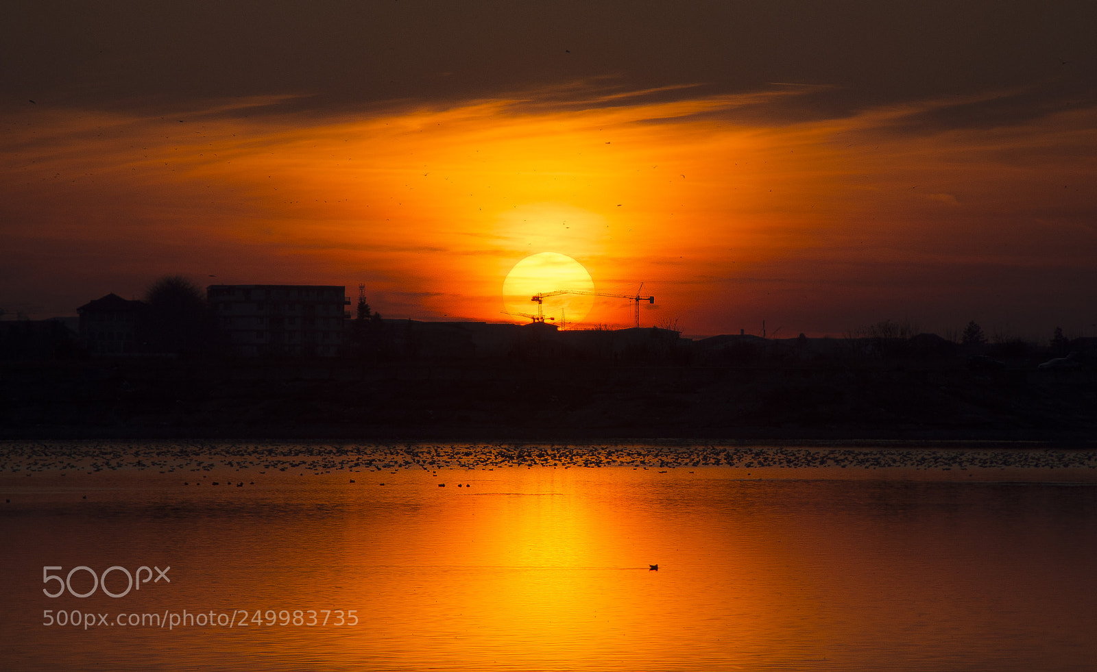 Nikon D7200 sample photo. Big orange photography