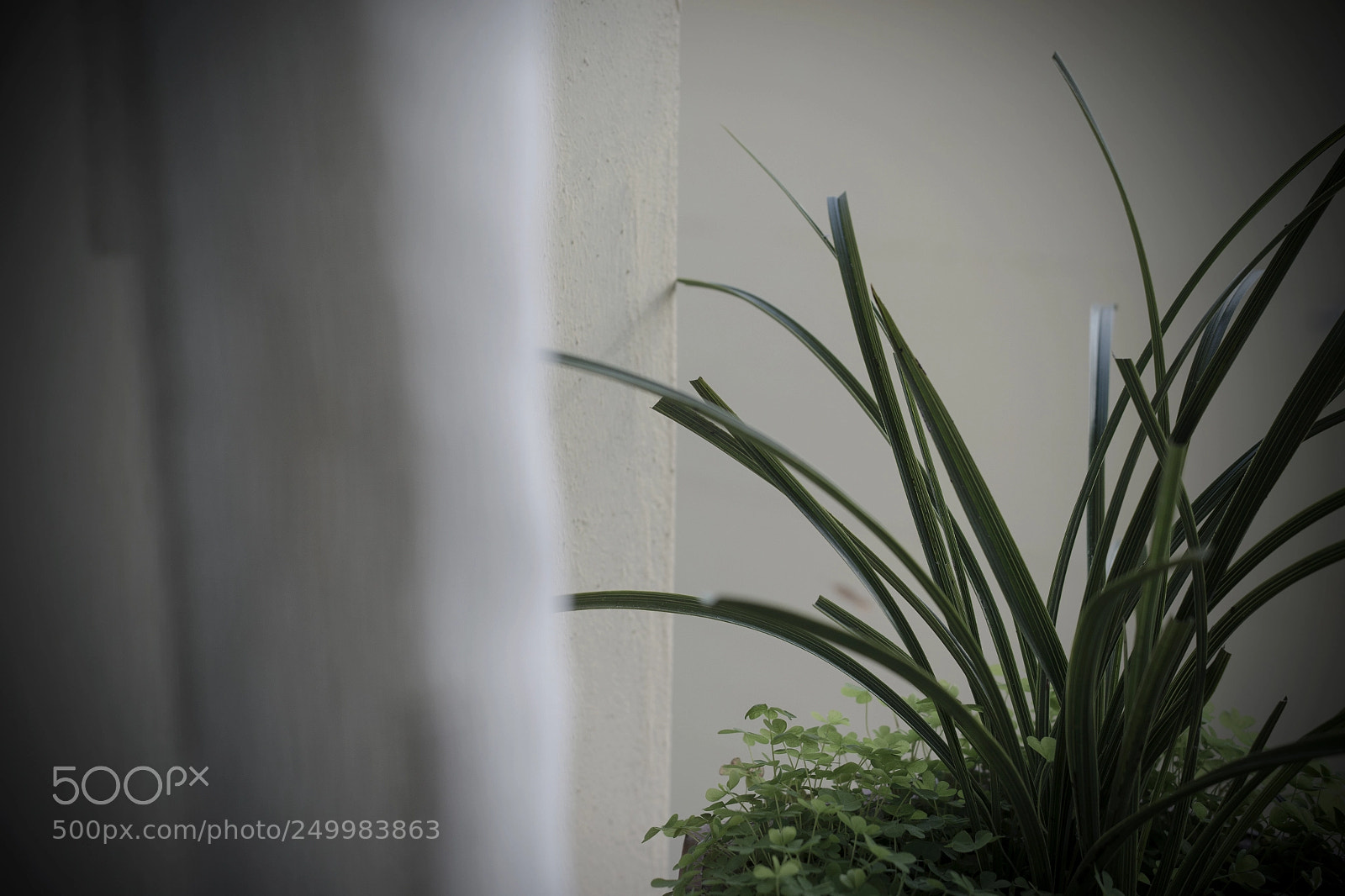 Samsung NX300 sample photo. 对 photography