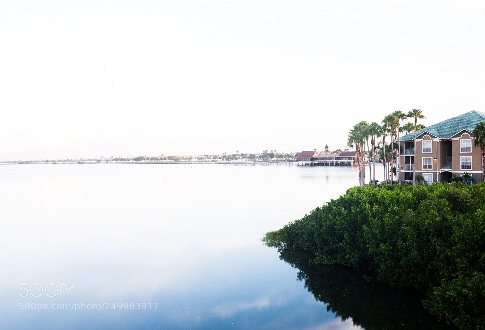Nikon D610 sample photo. Water reflection photography