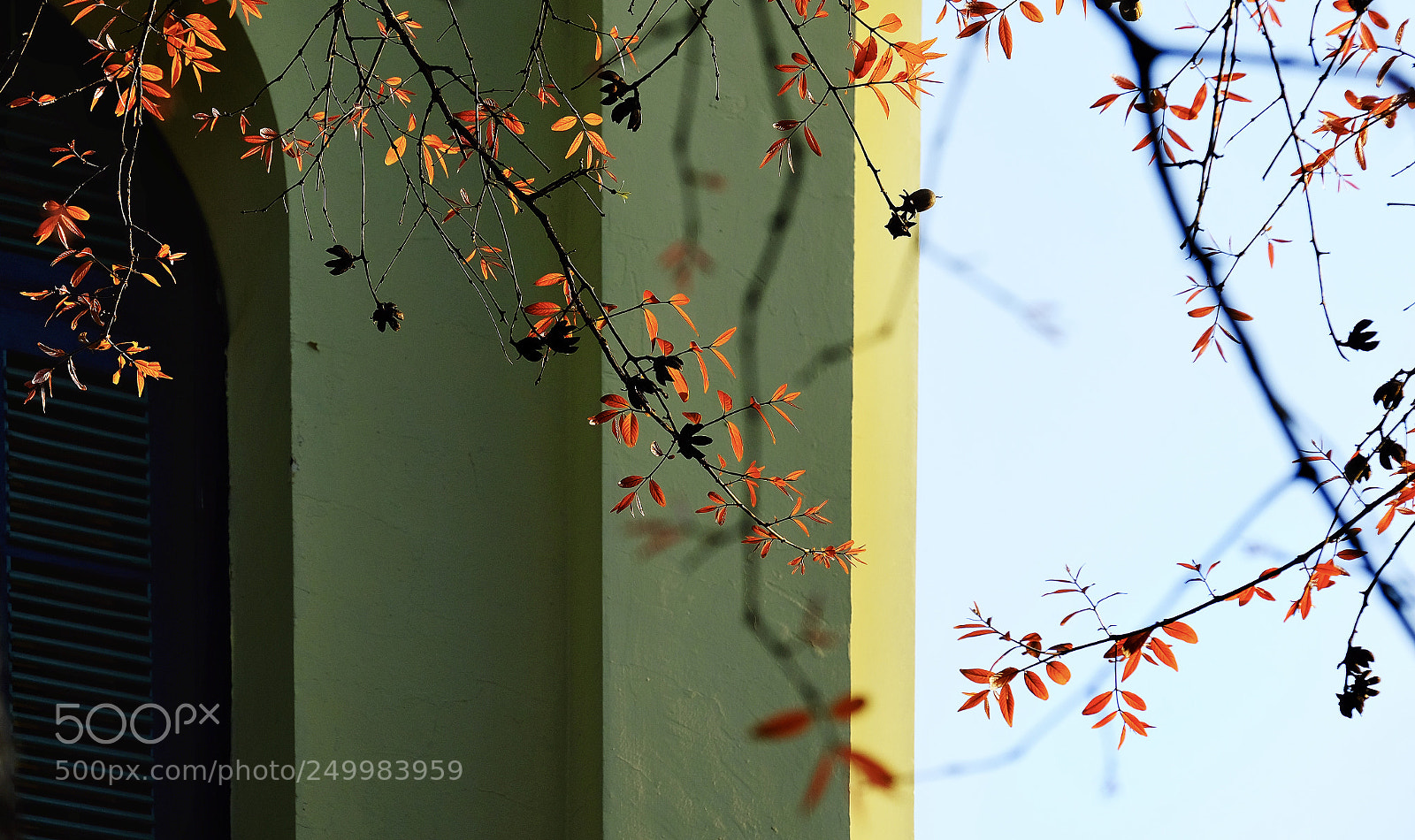 Fujifilm X-T20 sample photo. Untitled photography