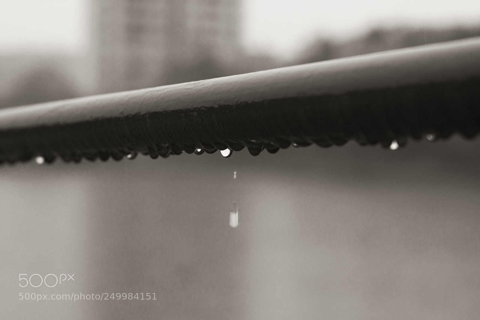 Canon EOS 550D (EOS Rebel T2i / EOS Kiss X4) sample photo. 落雨 photography