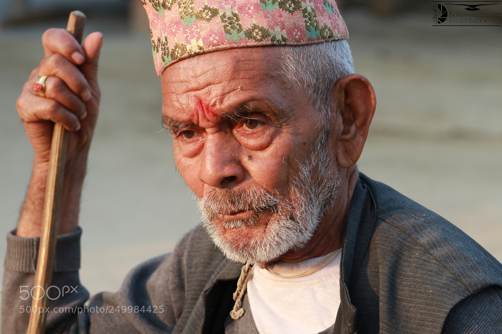 Canon EOS 80D sample photo. Ageing - something that photography