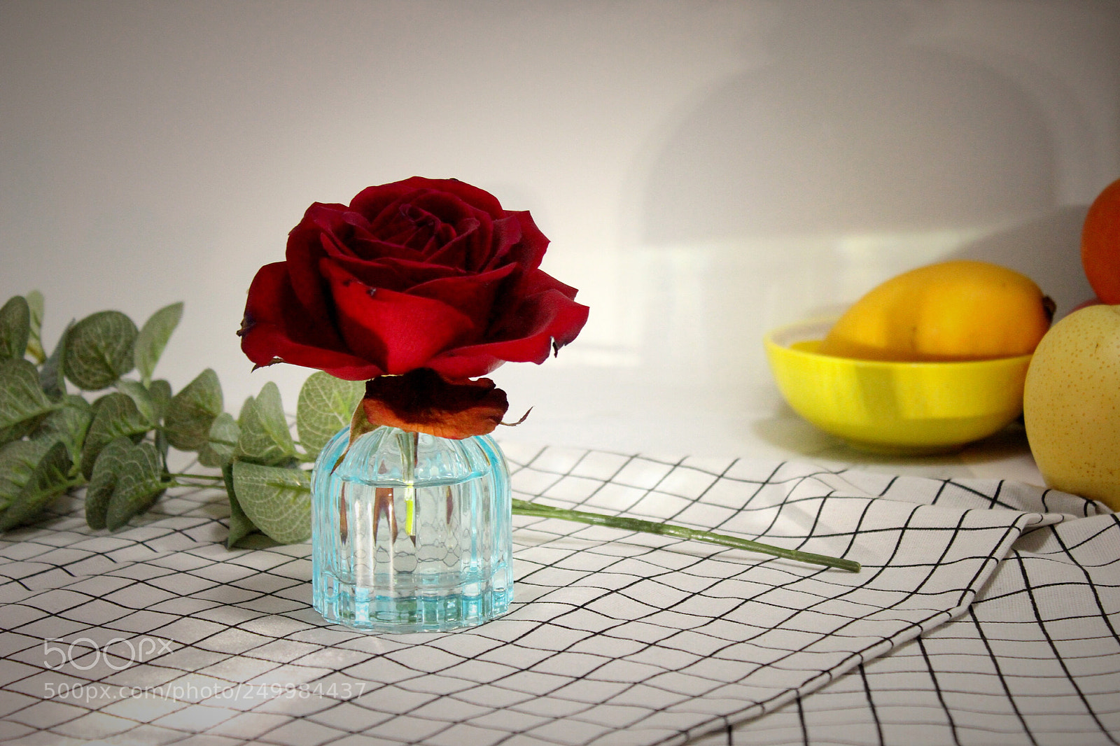 Canon EOS 600D (Rebel EOS T3i / EOS Kiss X5) sample photo. Light in the rose photography