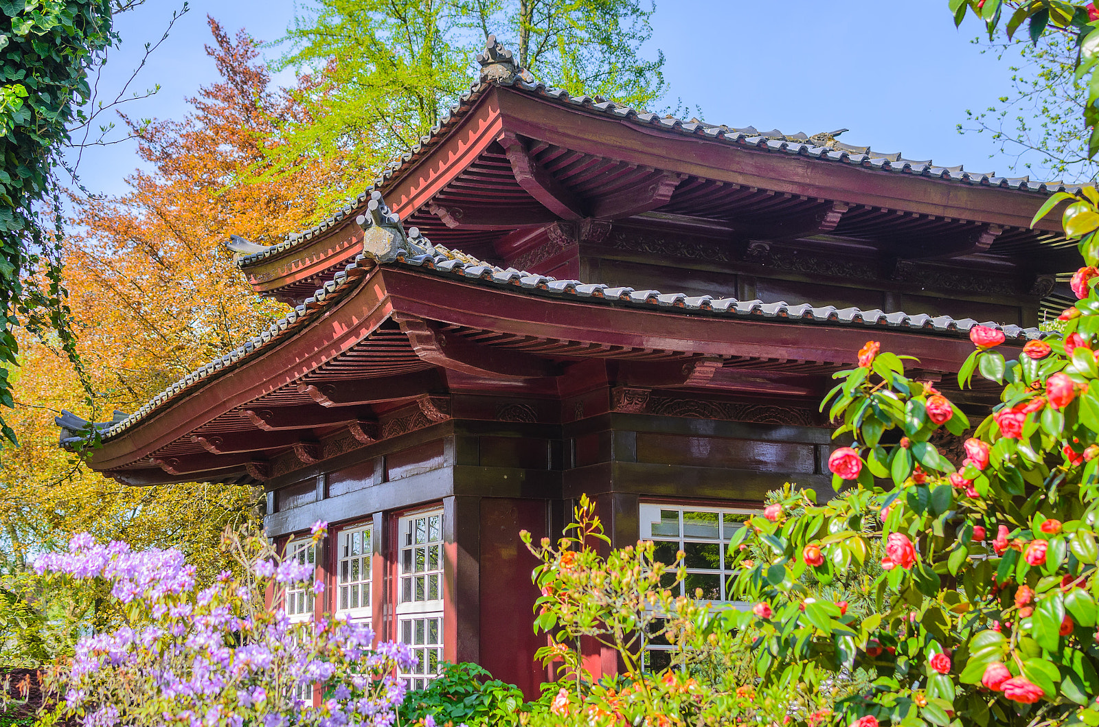Nikon D7000 sample photo. Japanese style house photography