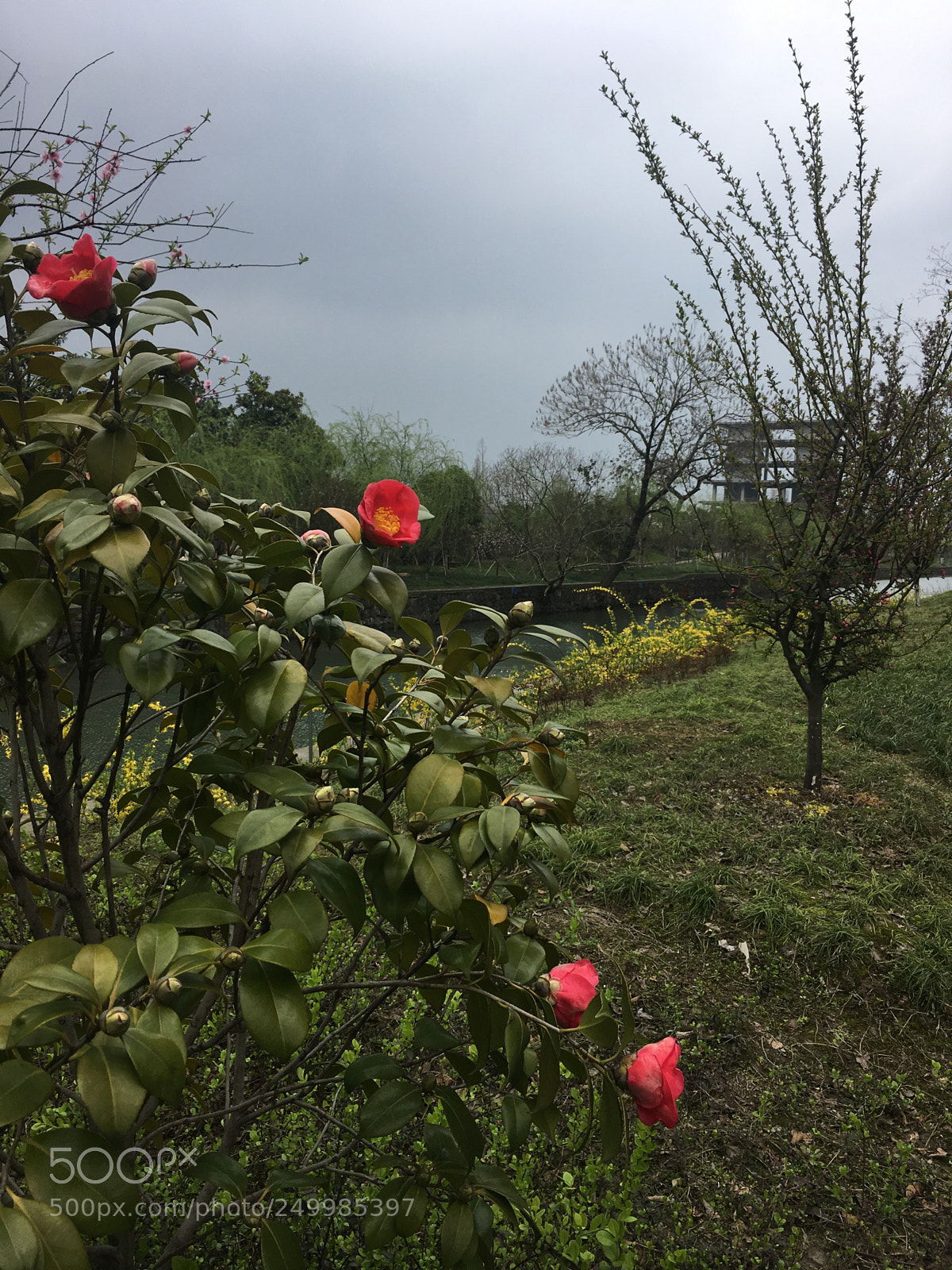 Apple iPhone 6s Plus sample photo. Untitled photography