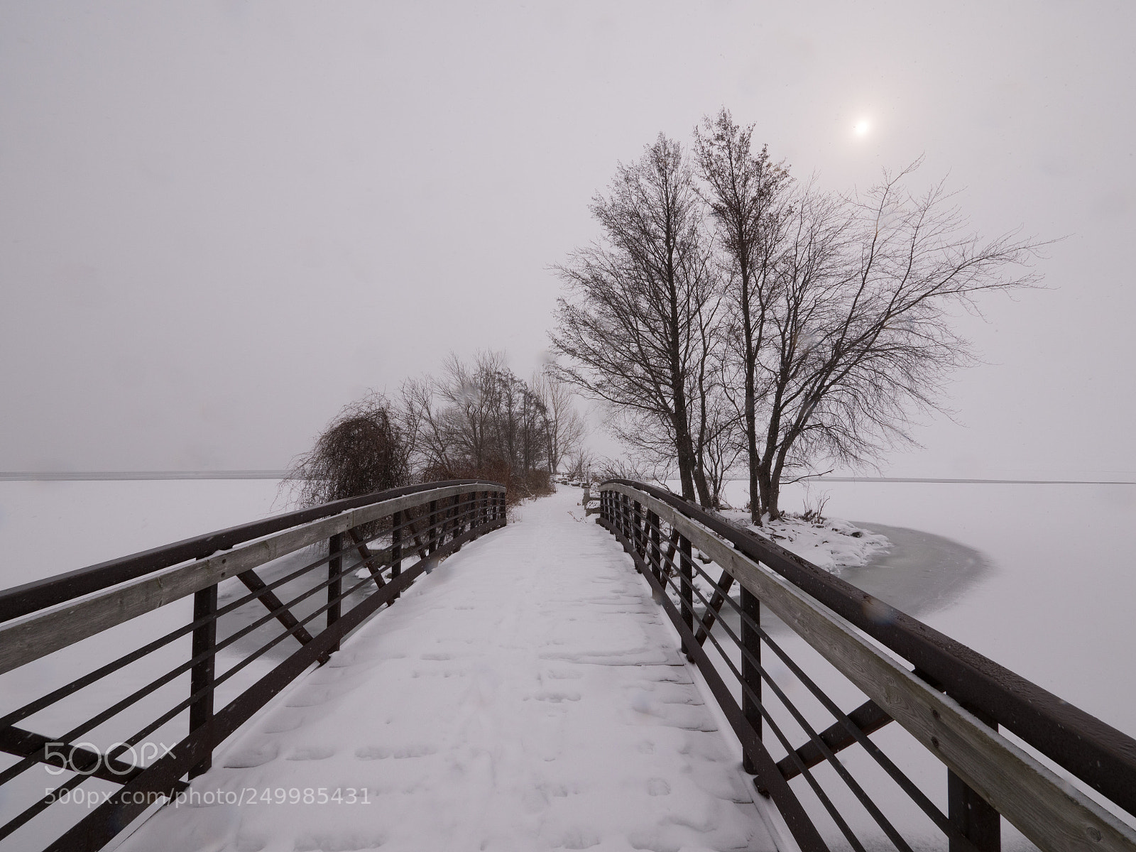 Panasonic Lumix DC-GH5 sample photo. Foot bridge photography