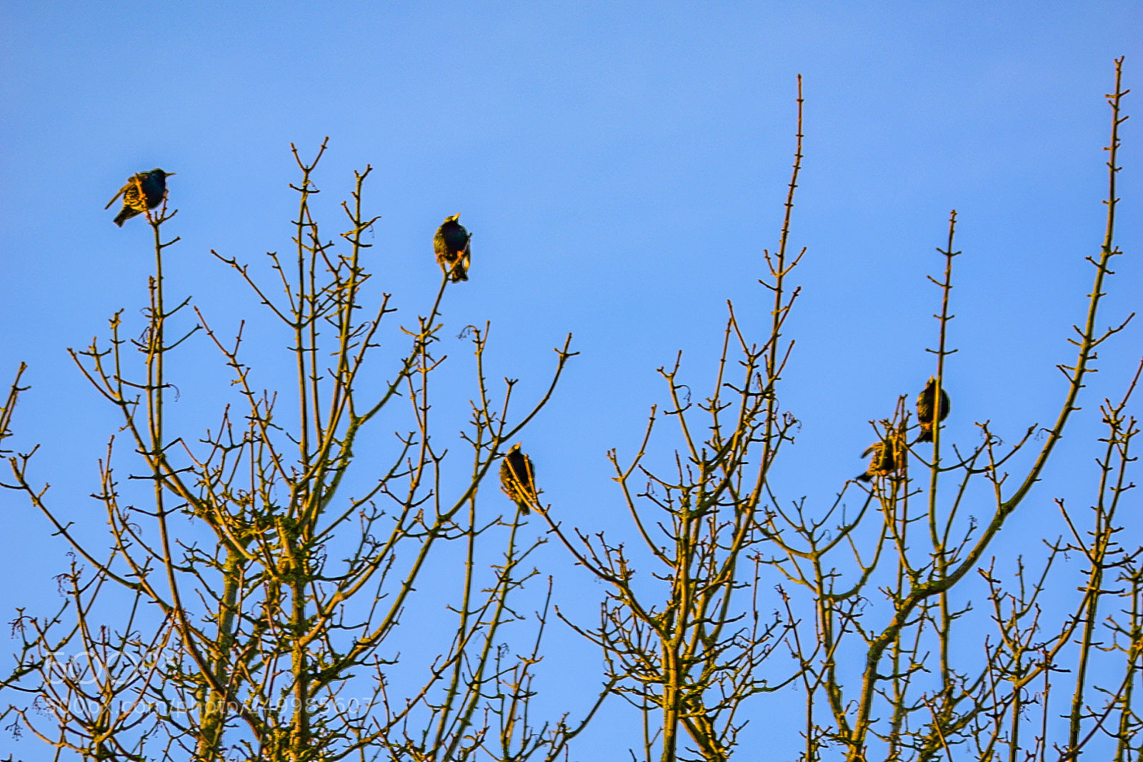 Nikon D5300 sample photo. Meeting early am morning photography