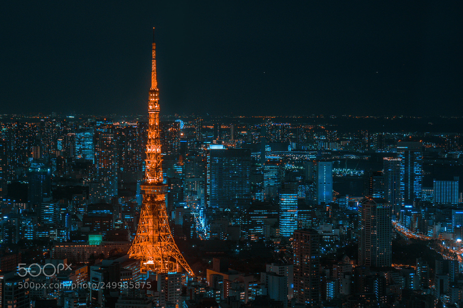 Sony a7R II sample photo. 東京で失われた photography