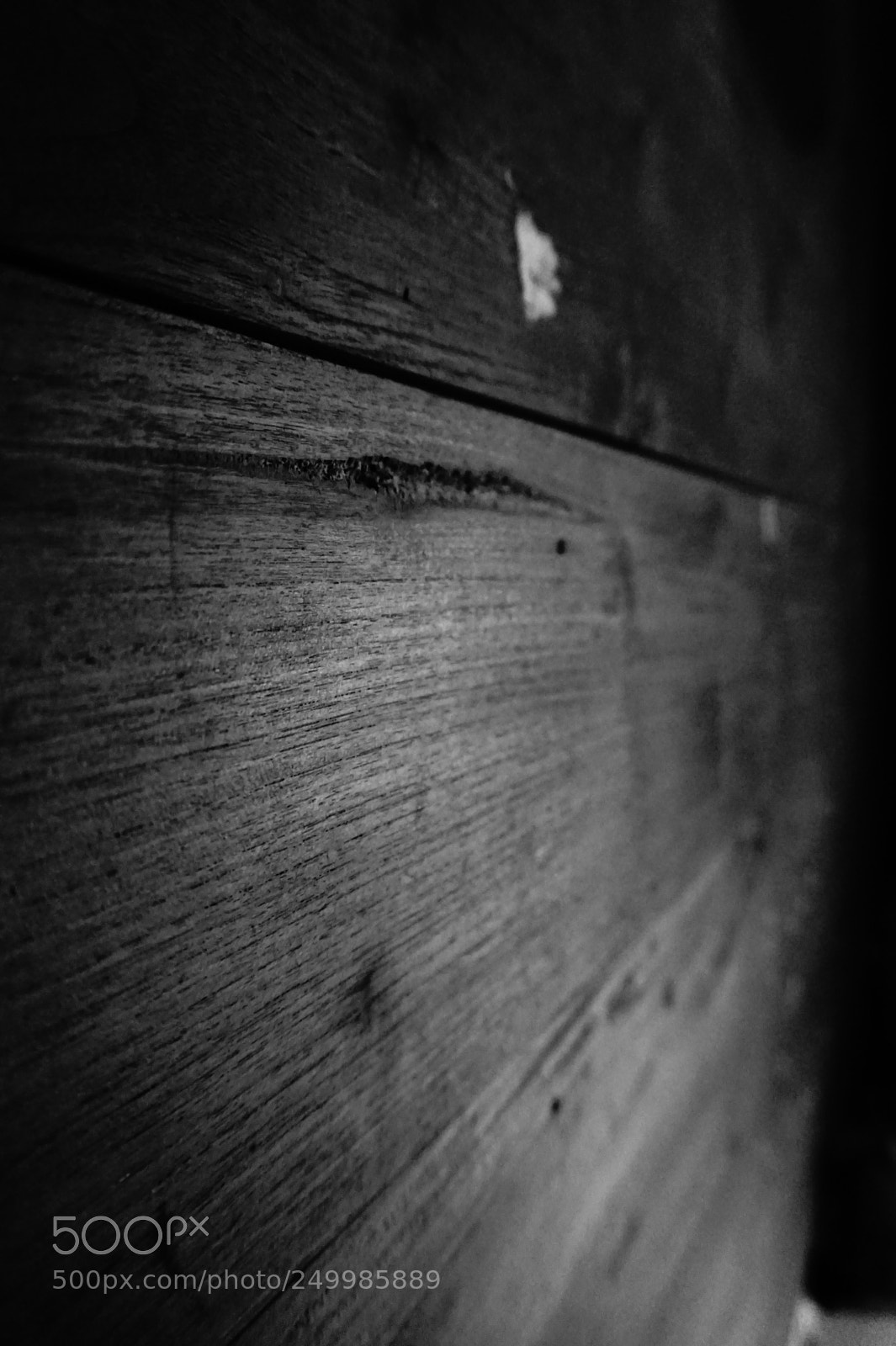 Sony Alpha a5000 (ILCE 5000) sample photo. Monochrome photography