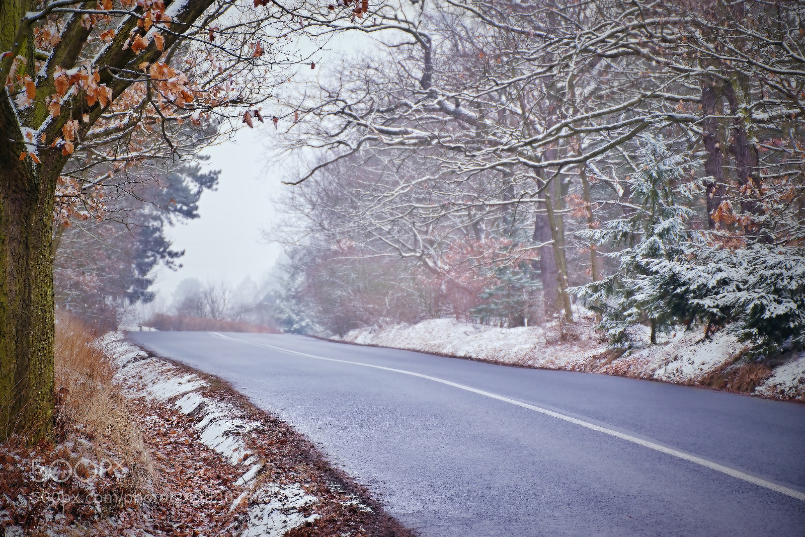 Nikon D5300 sample photo. Asphalt road leading to photography