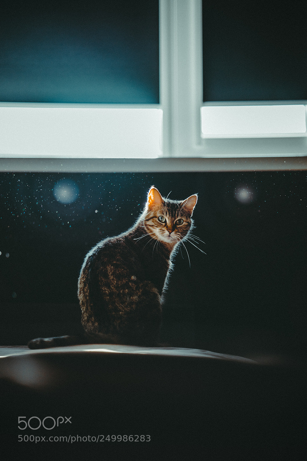 Sony a7 II sample photo. Morning photography
