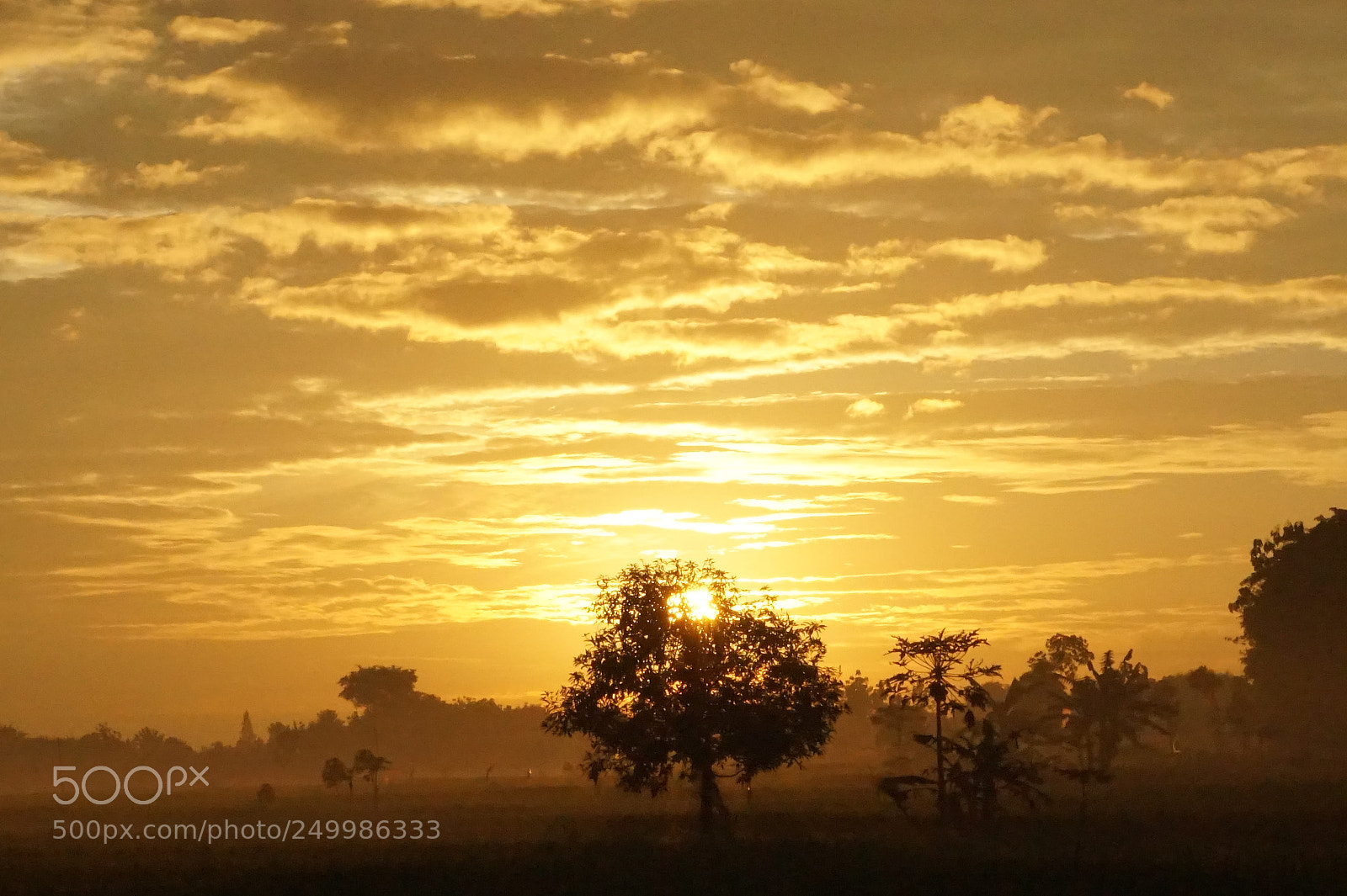 Sony Alpha a5000 (ILCE 5000) sample photo. Sunrise or sunset ? photography