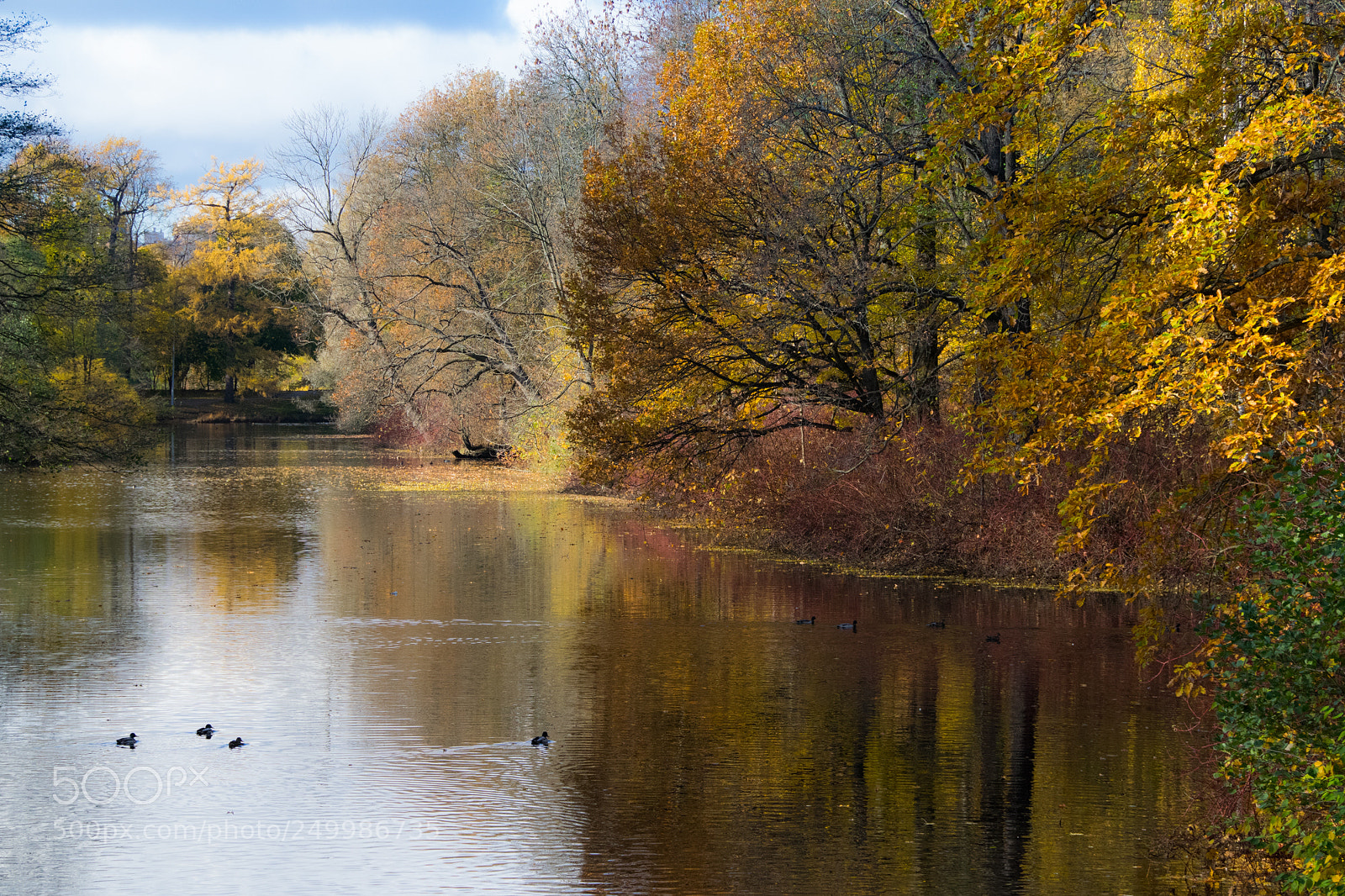 Nikon D3300 sample photo. Autumn reflection photography