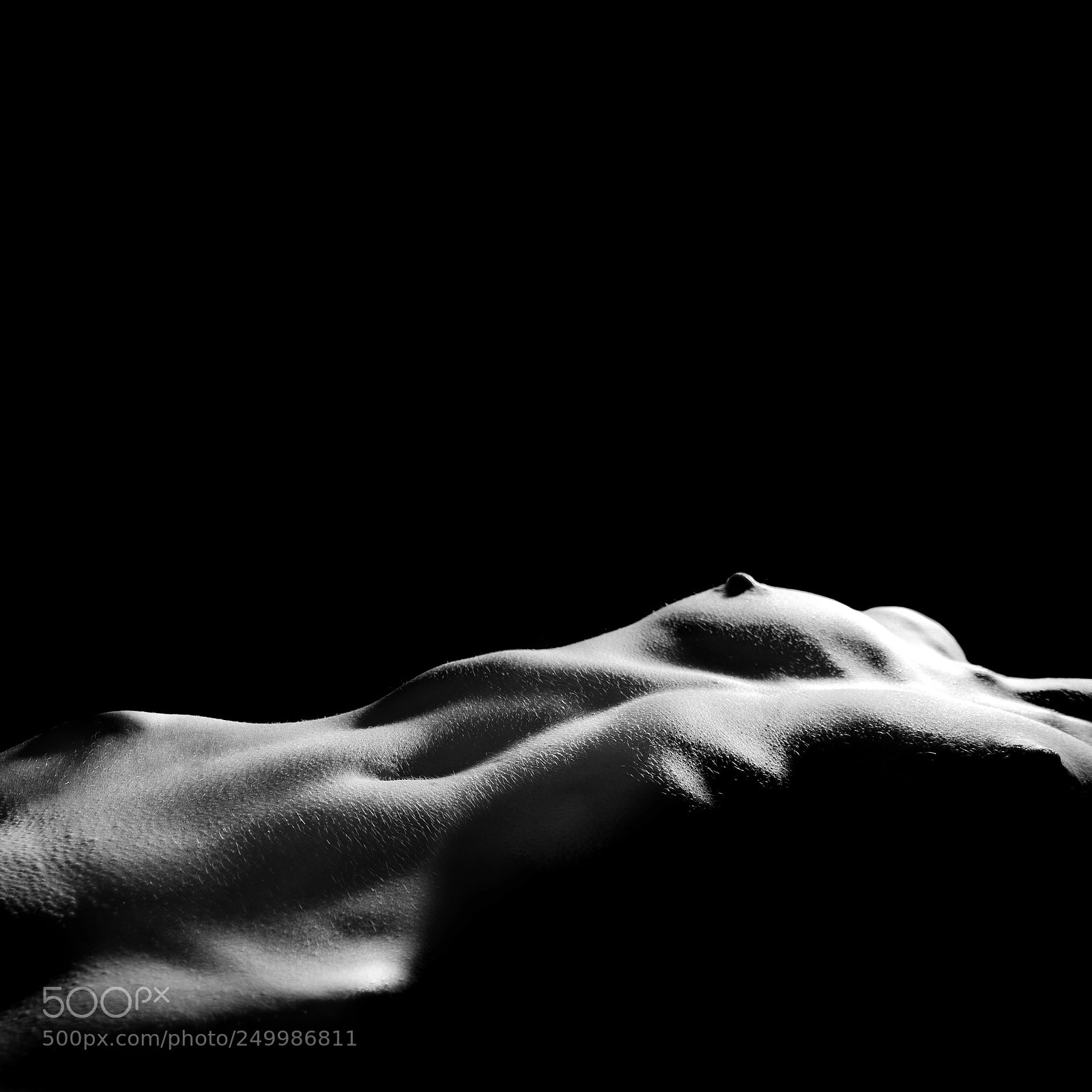 Nikon D800 sample photo. Female line of body photography