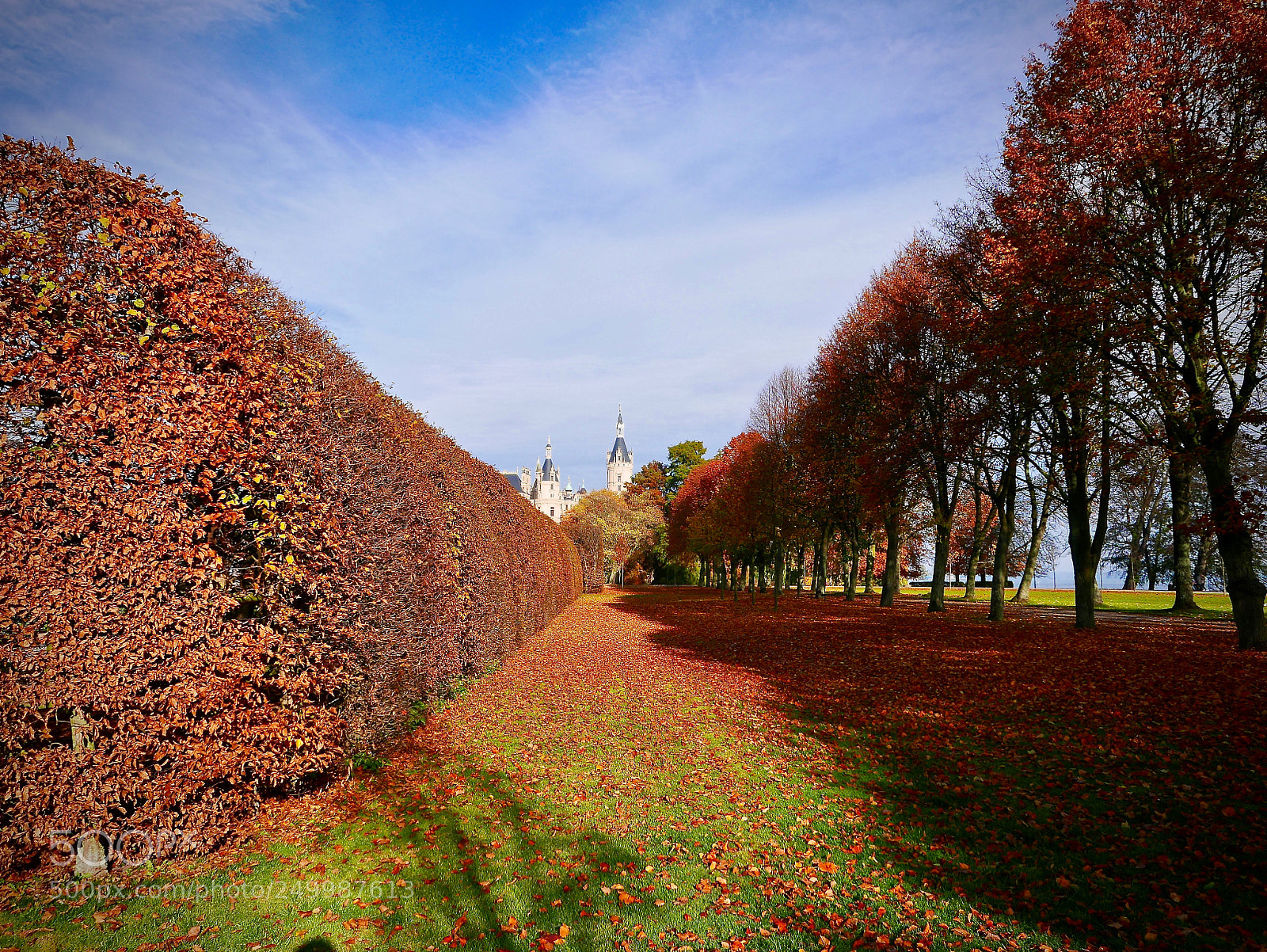 Leica D-Lux (Typ 109) sample photo. Autumnal look photography