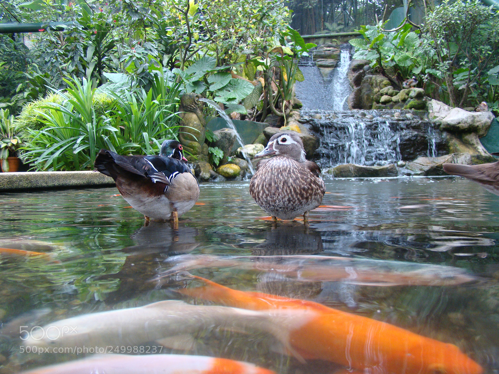 Sony Cyber-shot DSC-H50 sample photo. Pic () photography