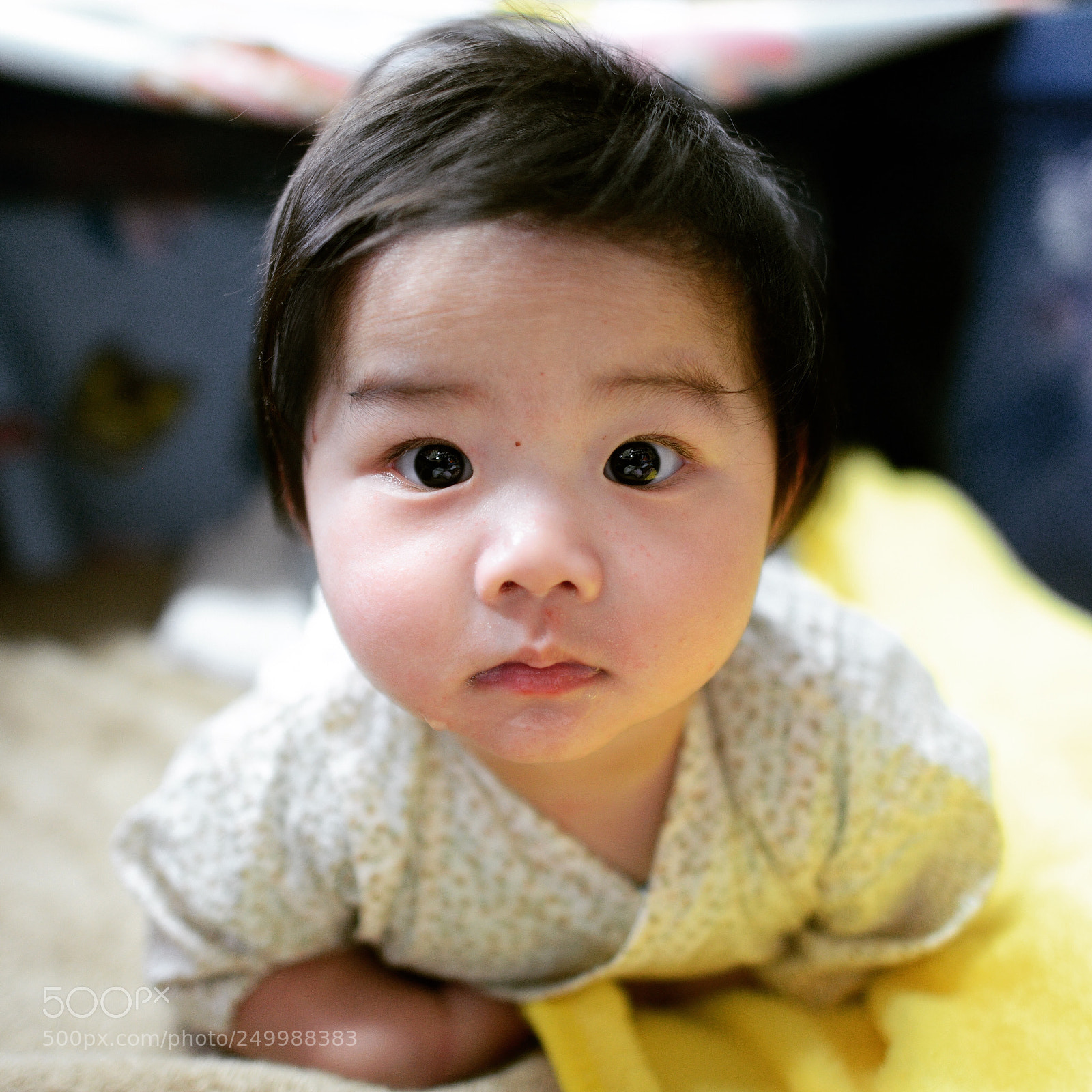 Nikon D800 sample photo. Untitled photography