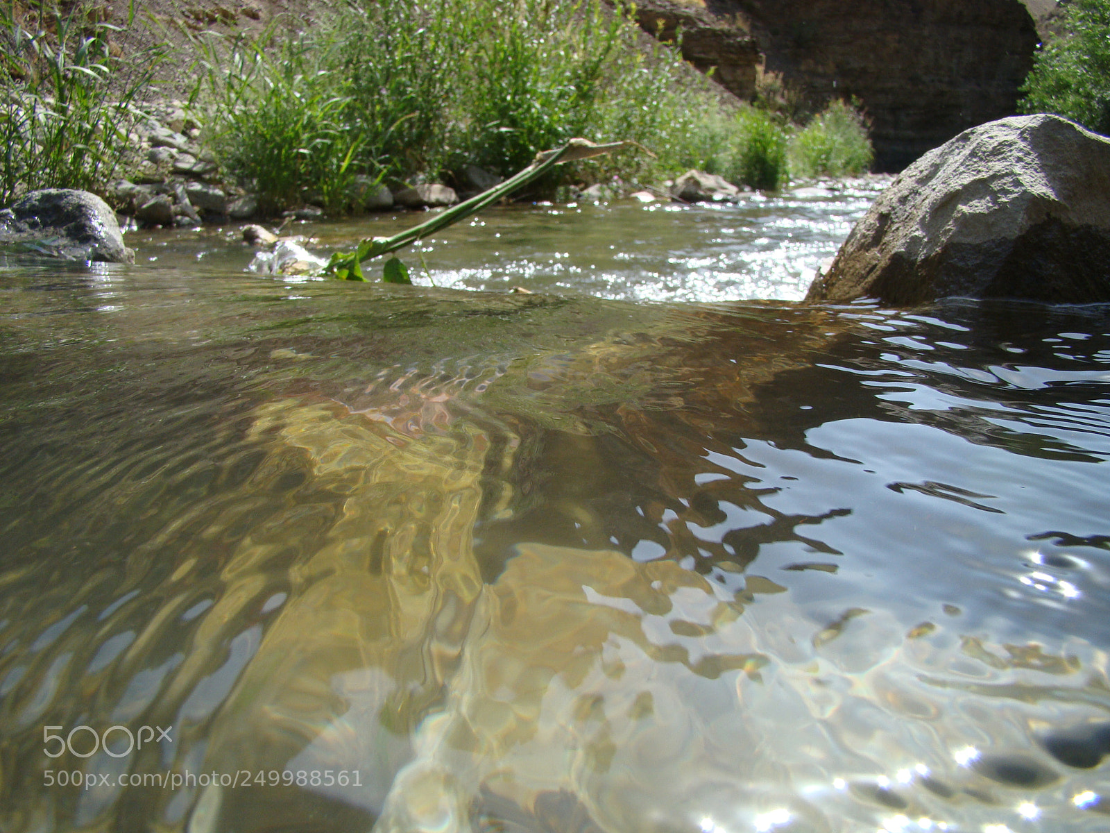 Sony Cyber-shot DSC-H50 sample photo. Poo () photography