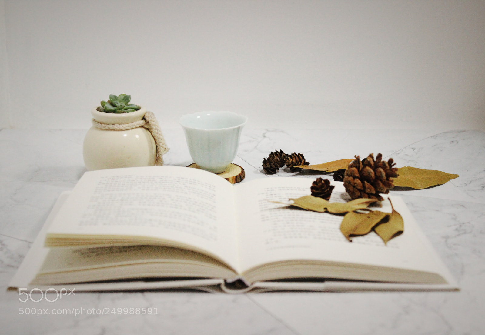 Canon EOS 600D (Rebel EOS T3i / EOS Kiss X5) sample photo. Tranquil photography