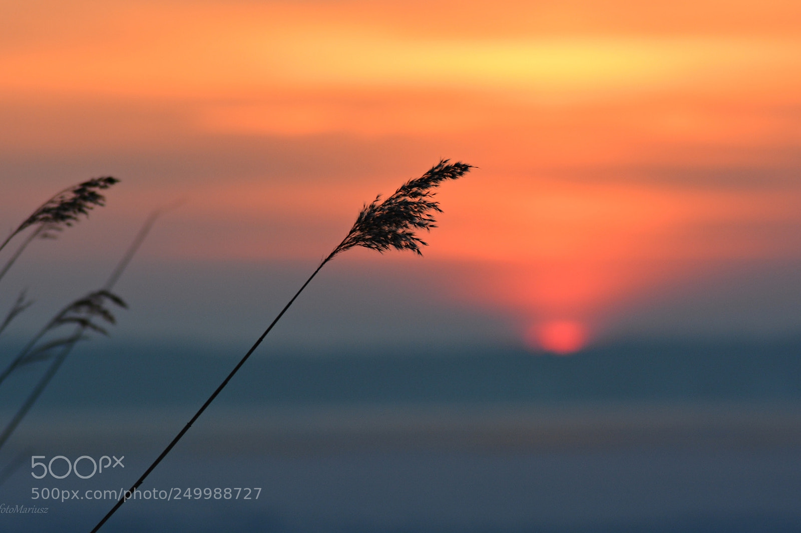 Nikon D5200 sample photo. Sunset photography