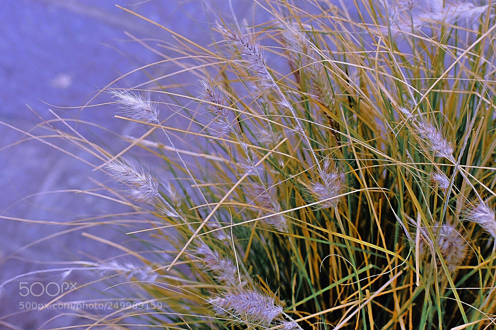 Nikon D7200 sample photo. Untitled photography