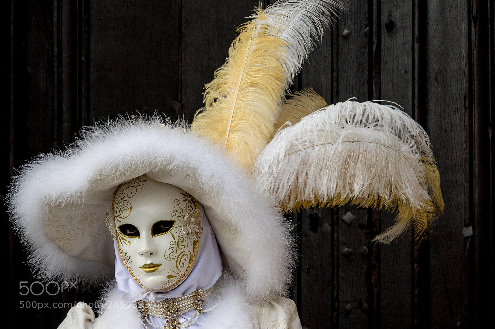 Sony Cyber-shot DSC-RX10 III sample photo. Carnaval venitien 2018. remiremont. france photography