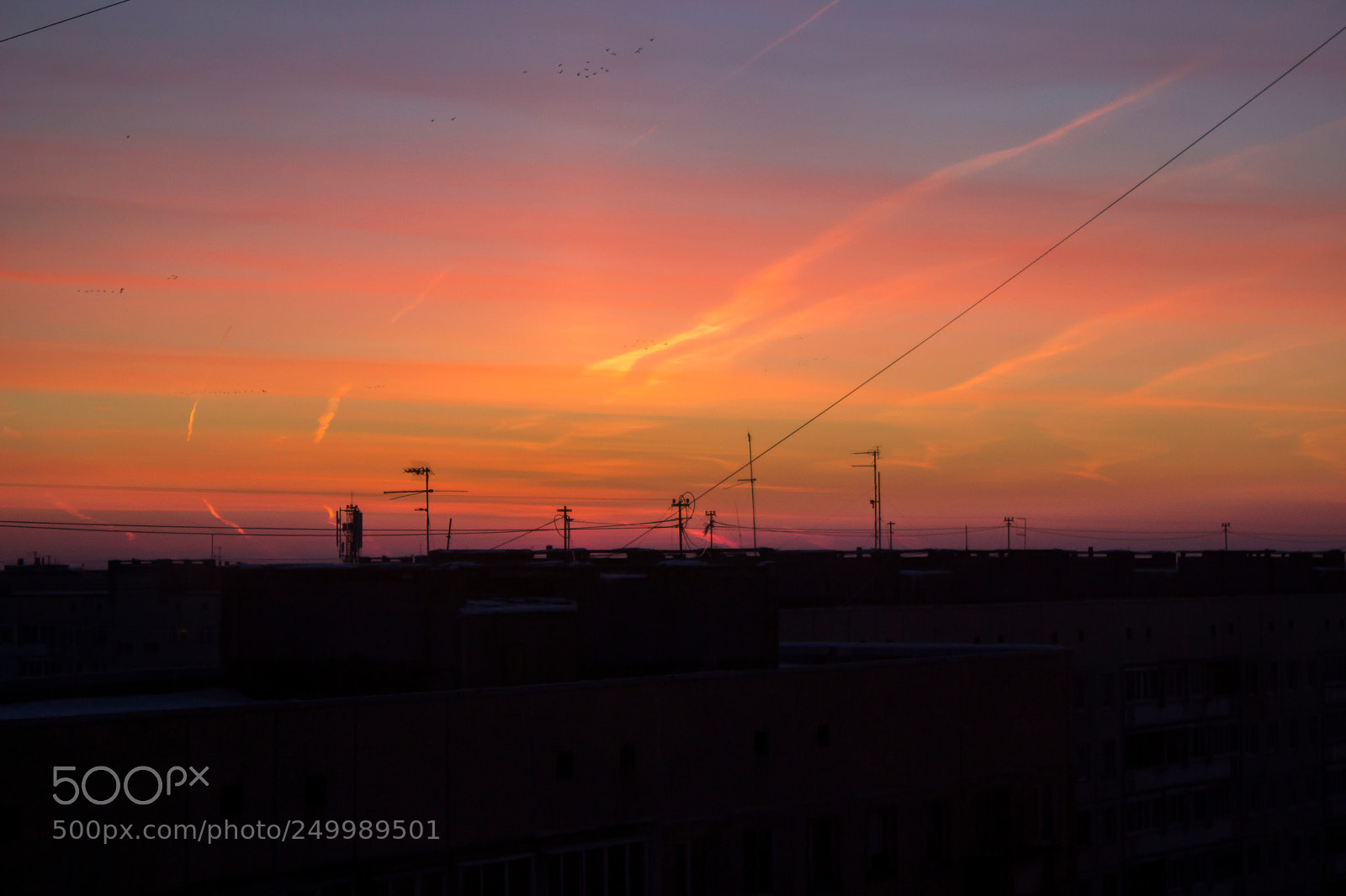 Canon EOS 600D (Rebel EOS T3i / EOS Kiss X5) sample photo. Morning ? photography
