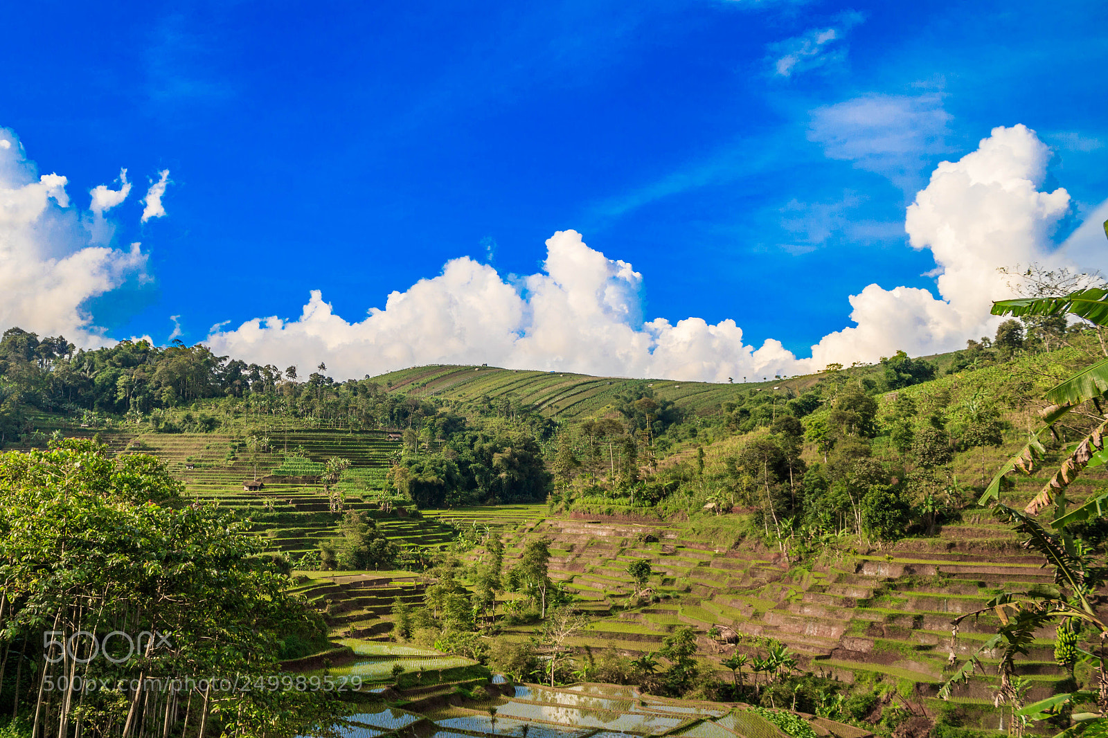 Canon EOS 760D (EOS Rebel T6s / EOS 8000D) sample photo. Cibodas photography