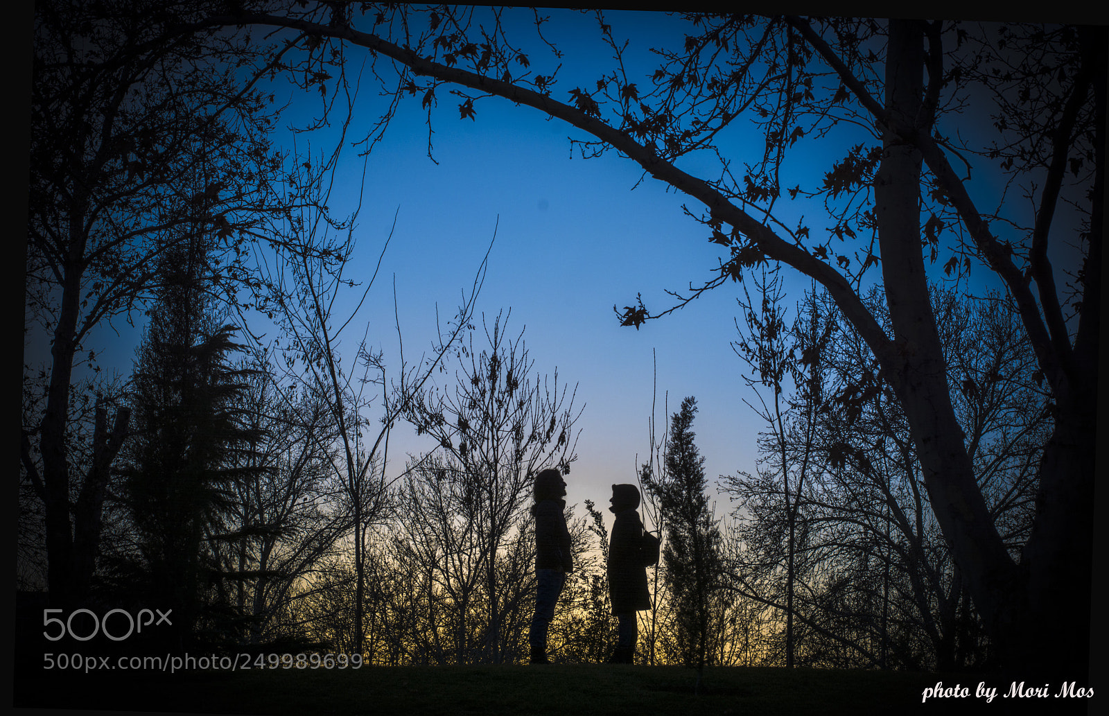 Nikon D7100 sample photo. The first meeting  photography