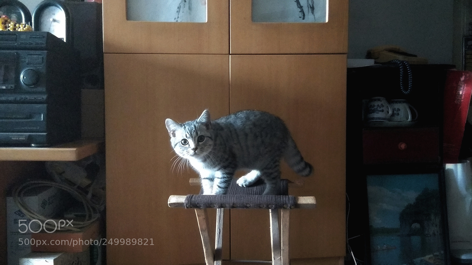 Xiaomi Redmi Note 4X sample photo. Hi！ photography