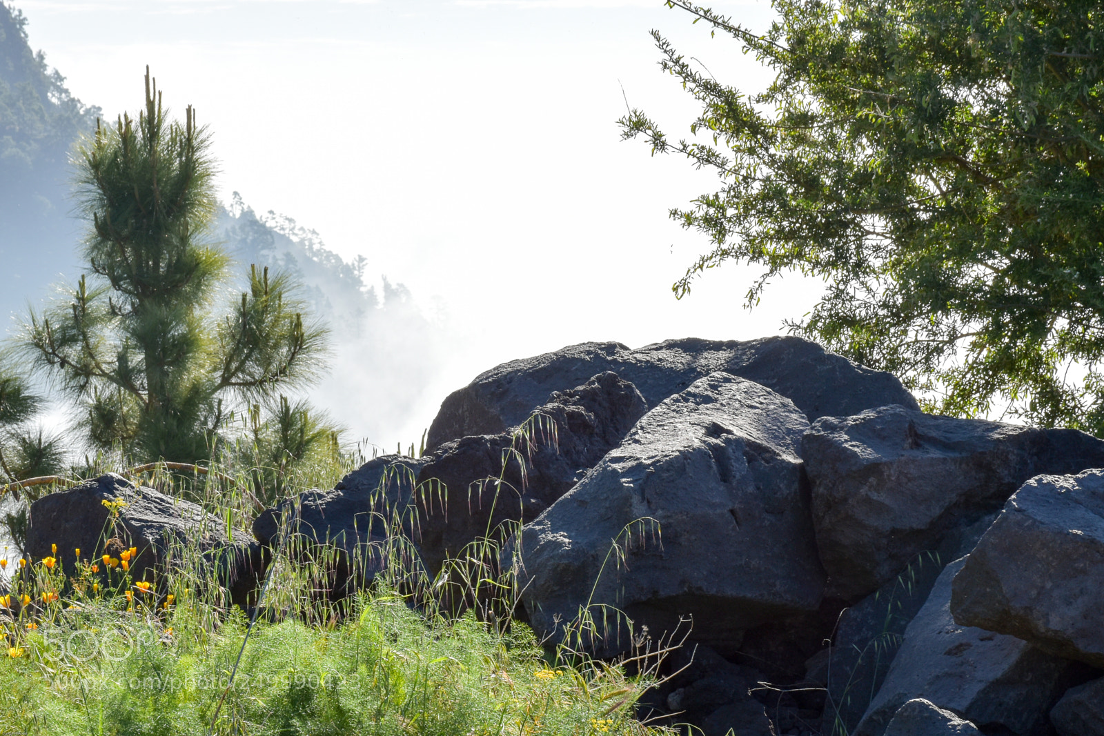 Nikon D5500 sample photo. Morning mist tenerife photography