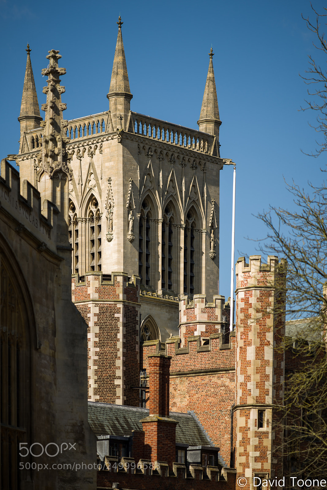 Nikon D800 sample photo. Trinity college chapel photography