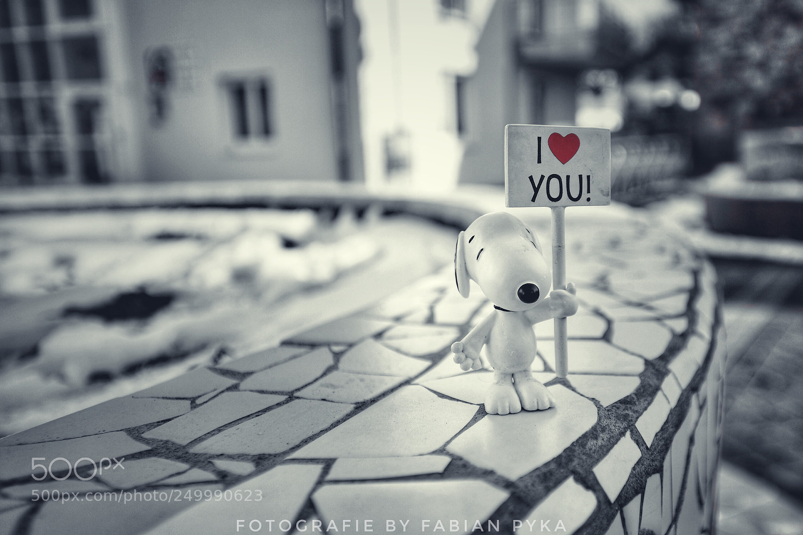 Nikon D5100 sample photo. Untitled photography