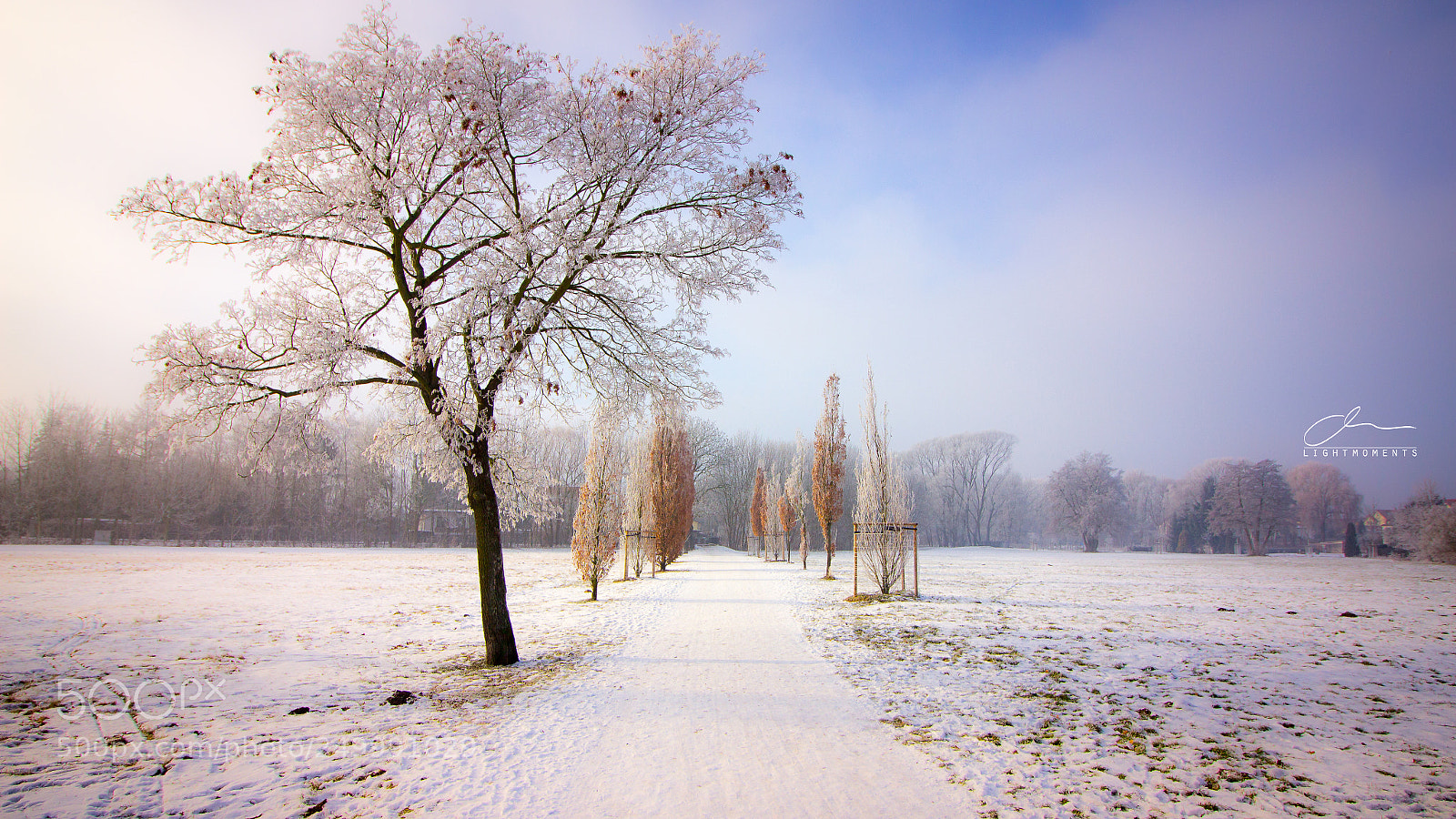 Canon EOS 600D (Rebel EOS T3i / EOS Kiss X5) sample photo. Winter in park photography