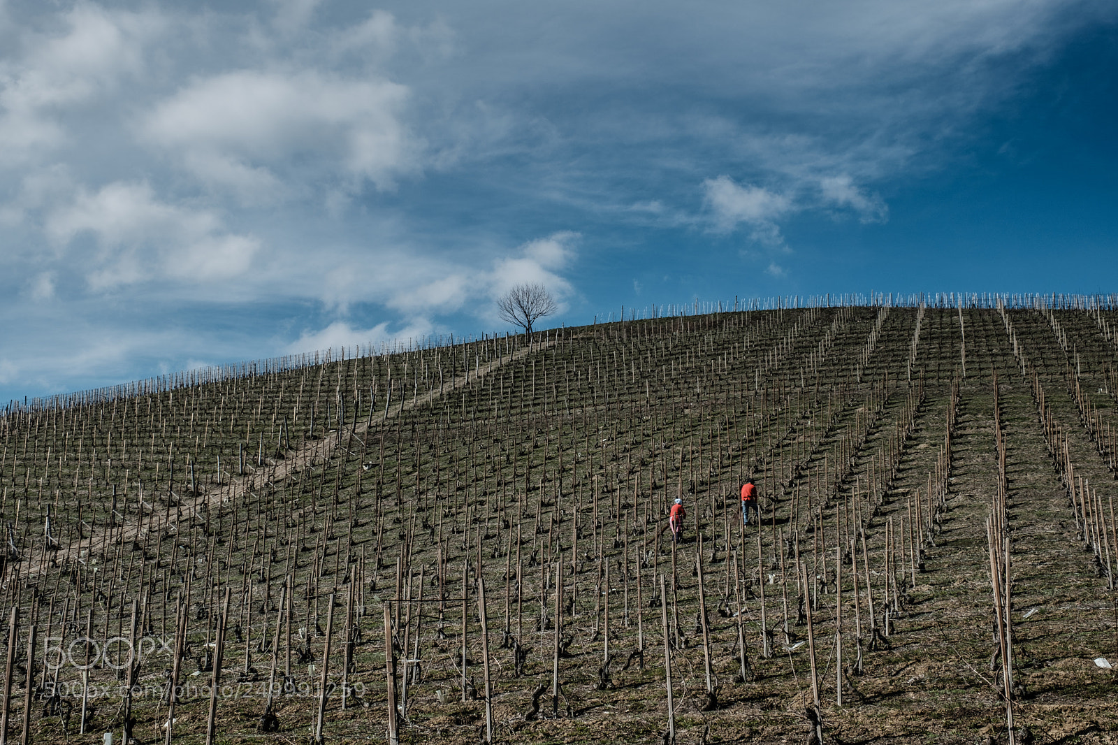Fujifilm X-T2 sample photo. Un nuovo inizio photography